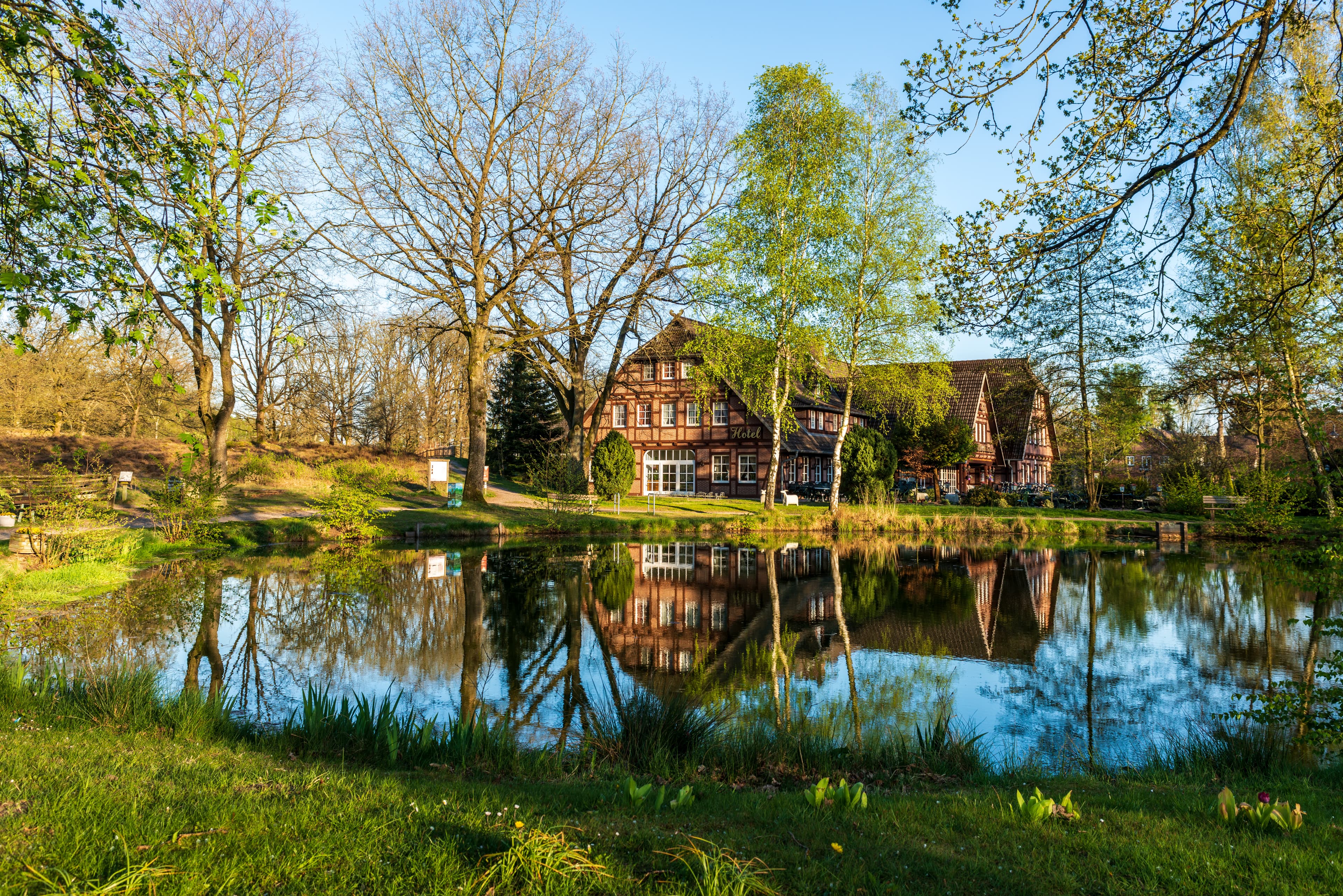 mitten in undeloh gibt es den dorfteich mit bänken