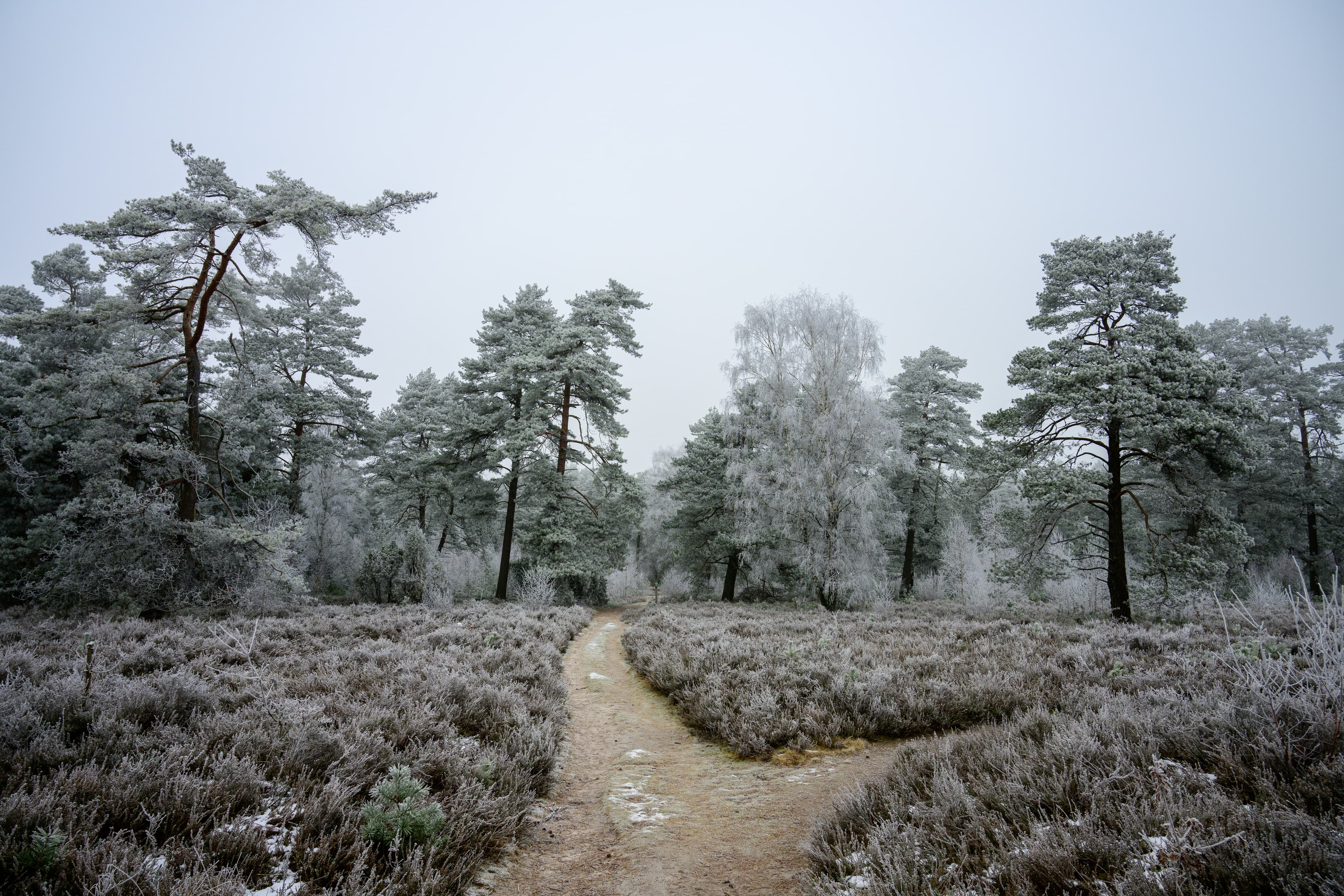 Müden Wietzer Berg WinterMüden Wietzer Berg WinterMüden Wietzer Berg WinterMüden Wietzer Berg Winter