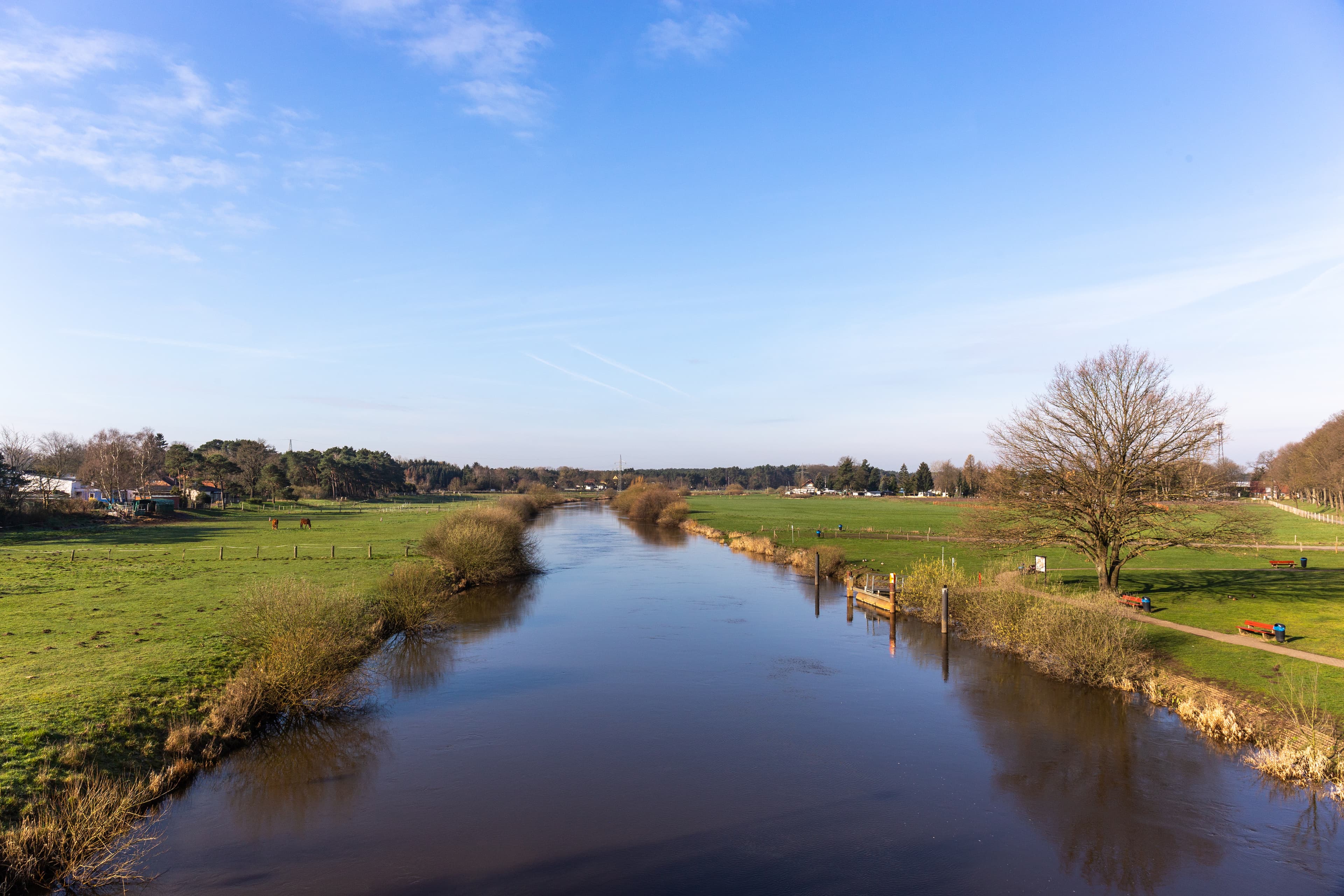 Der Fluss Aller in der Südheide