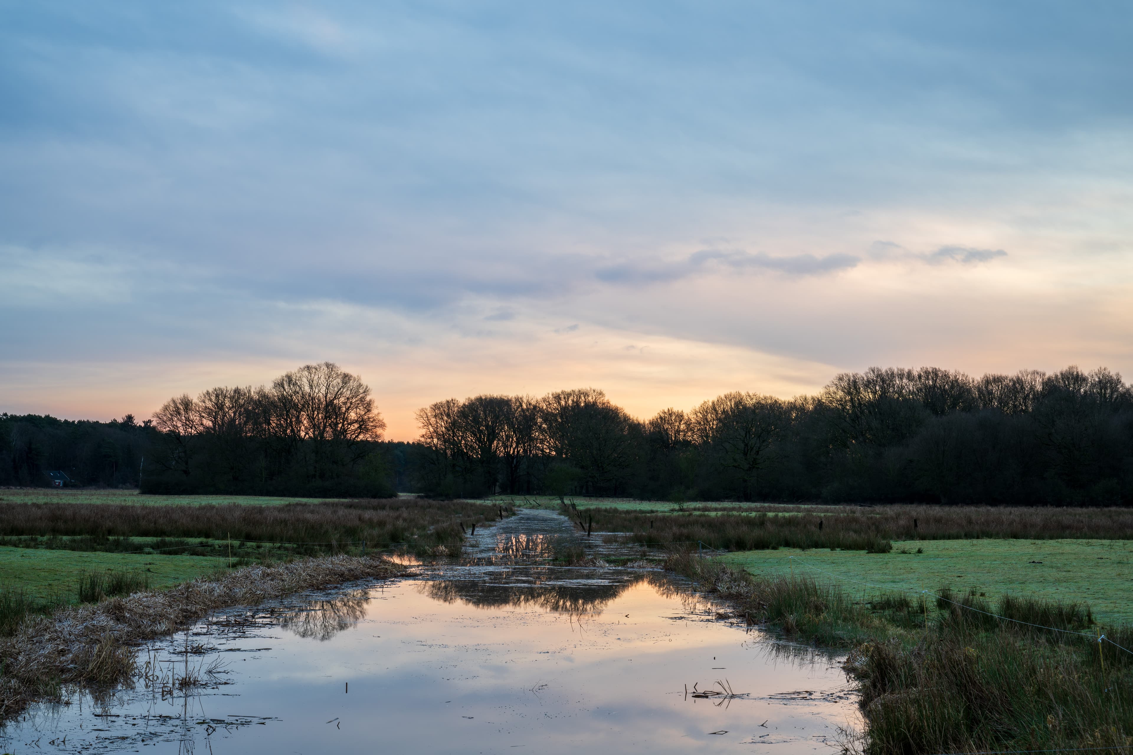 Wietze Hornbosteler Hutweide
