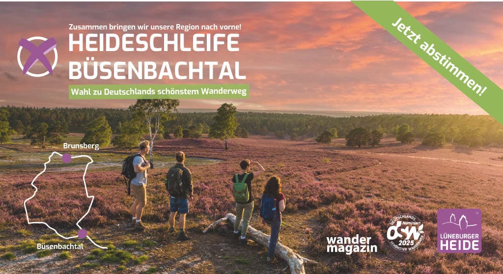 Wanderweg bei Sonnenuntergang mit blühender Heide