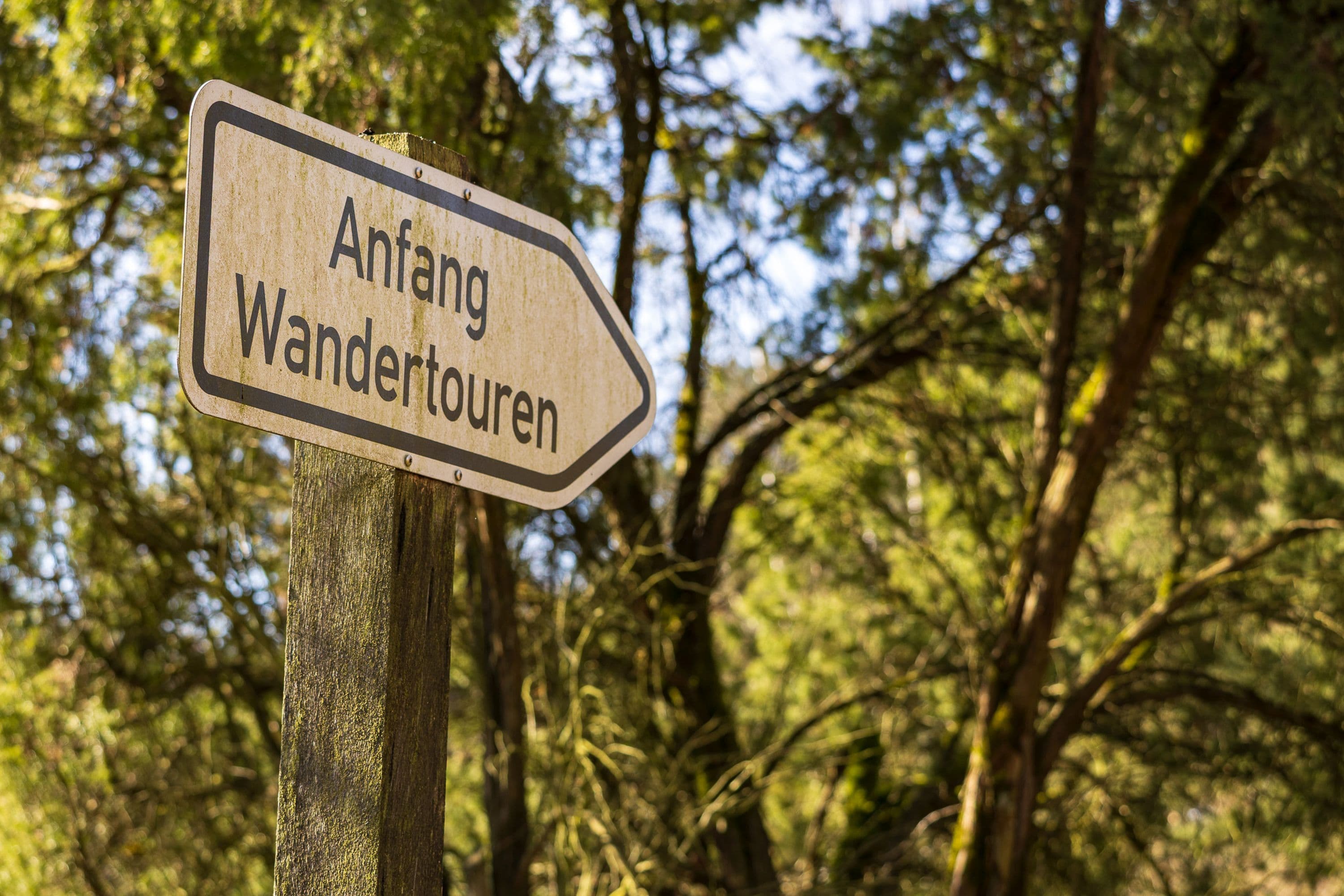 Beschilderung für die Wanderung W5 in der Südheide in der Lüneburger Heide