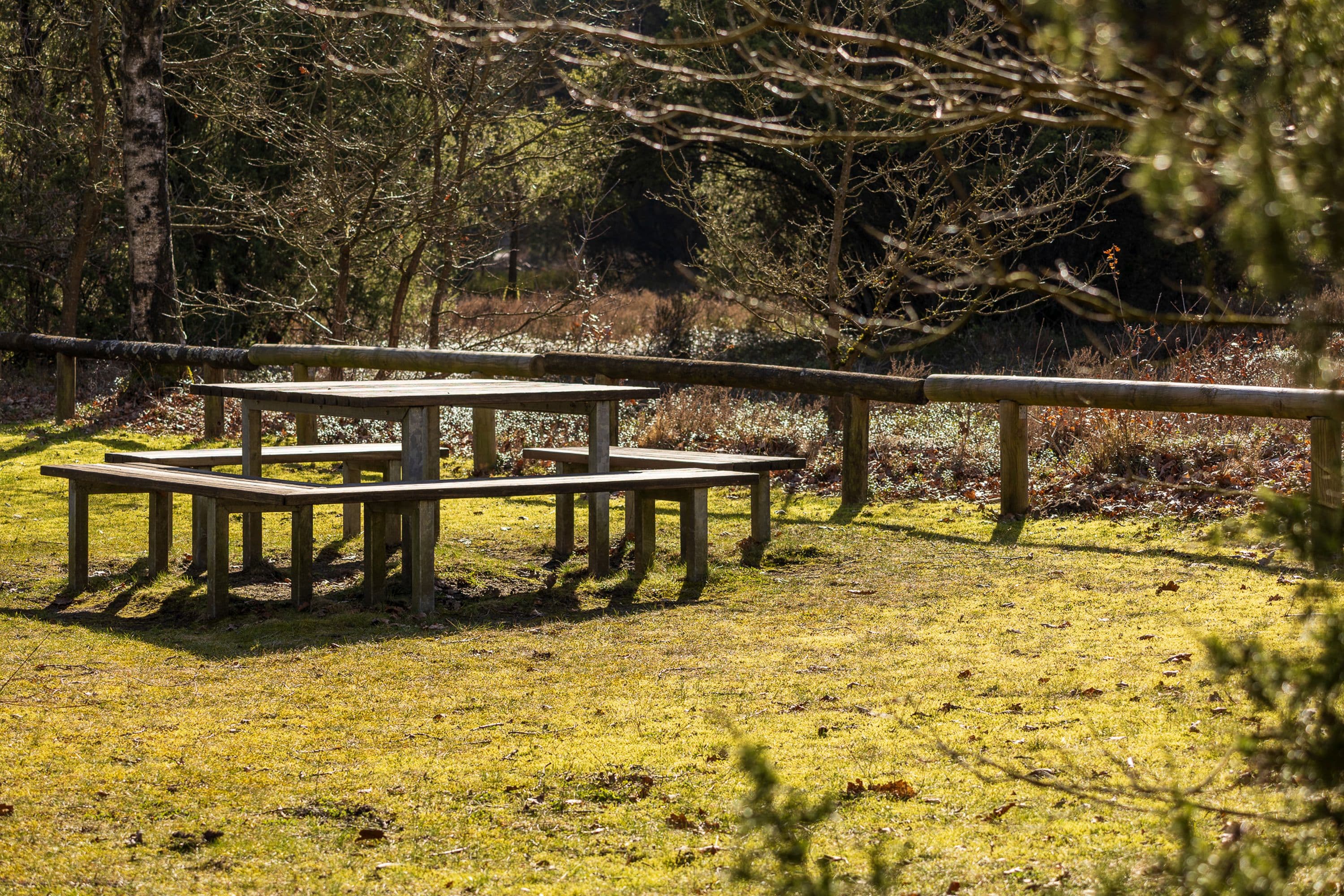 Rastplatz am Parkplatz der Oberoher Heide in der Südheide in der Lüneburger Heide im Frühling