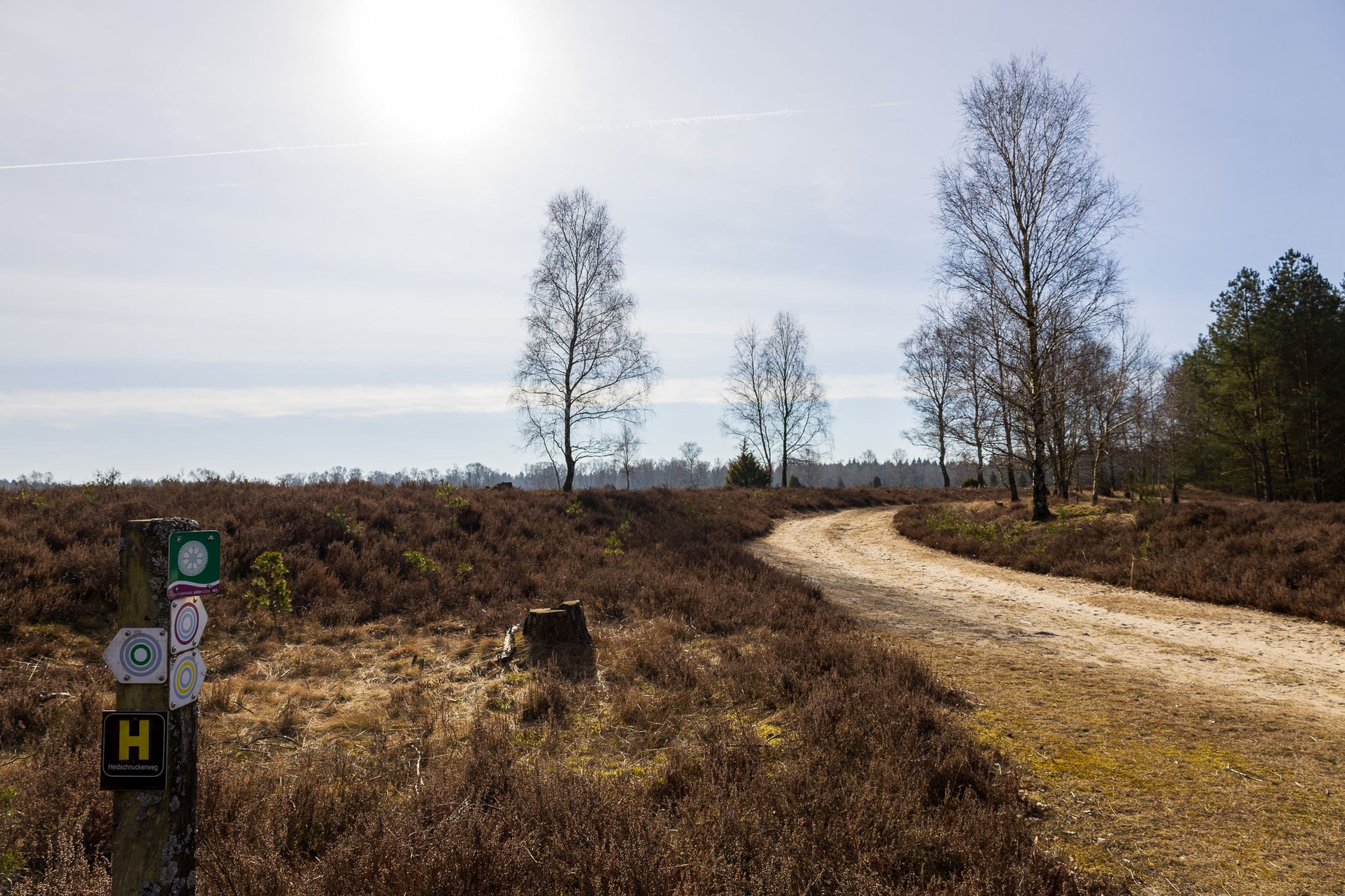 Sonnenschein auf dem Wanderweg durch die Oberoher Heide in der südlichen Lüneburger Heide