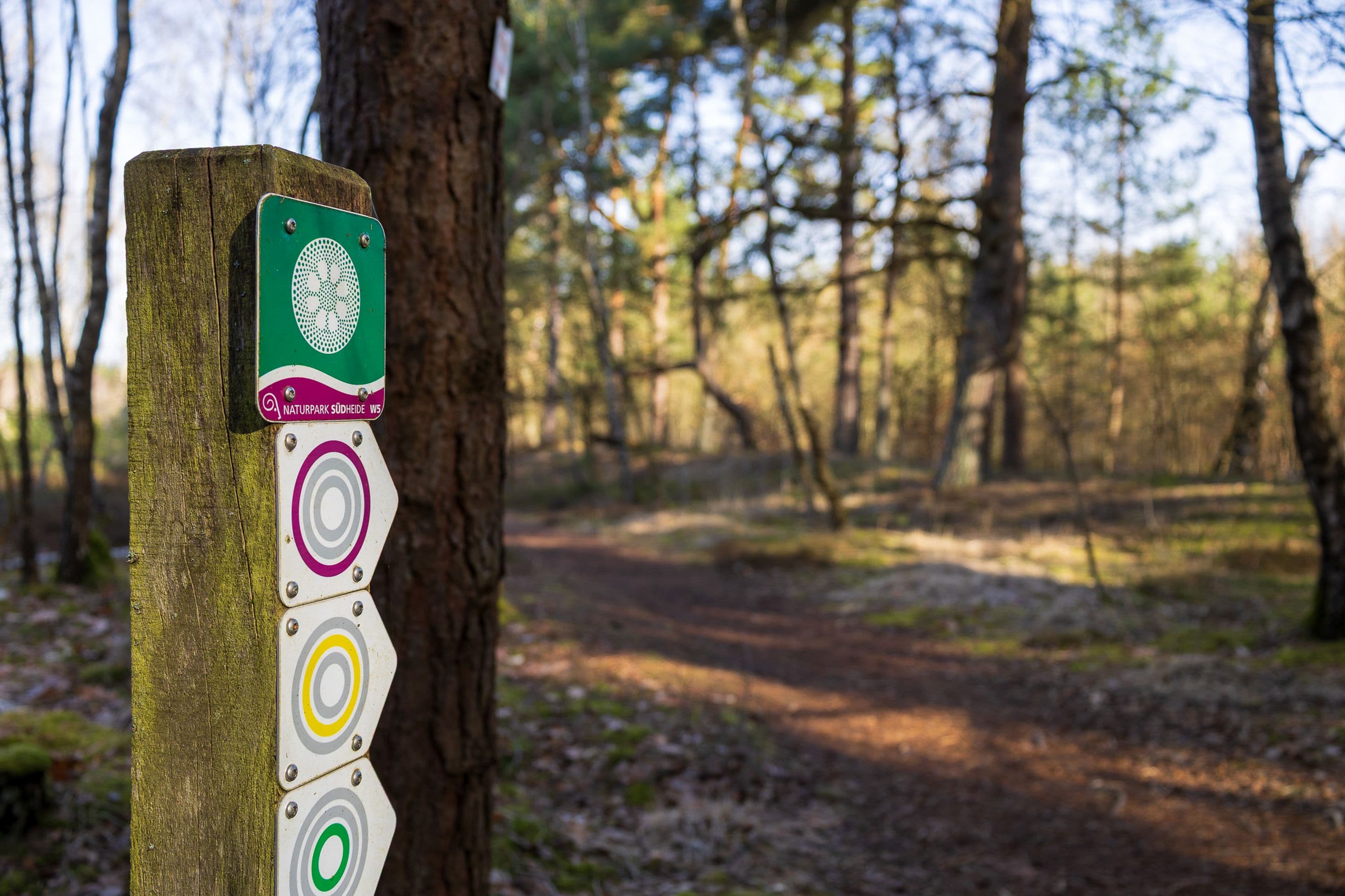 Beschilderung des Wanderwegs W5 durch die Oberoher Heide in der südlichen Lüneburger Heide zum Frühlingsanfang