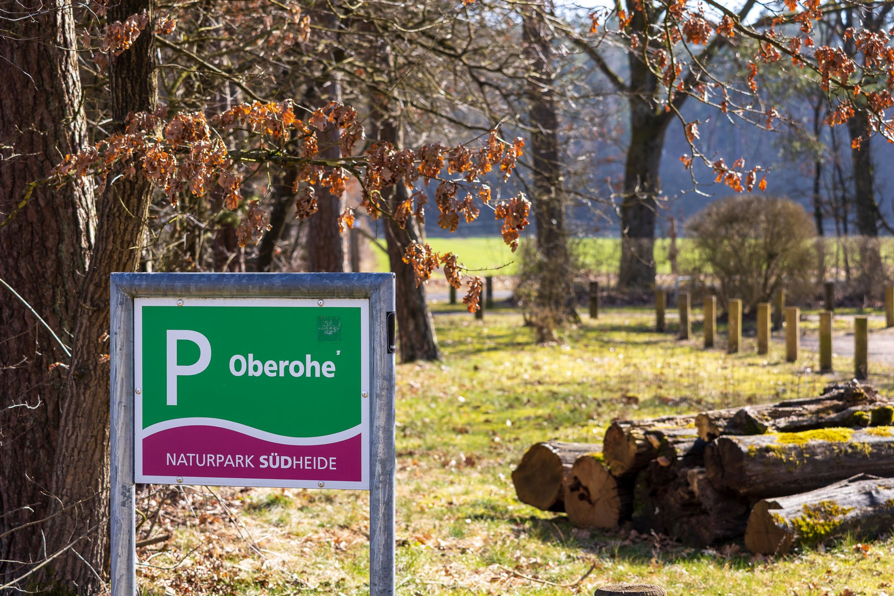 Parkplatzbeschilderung der Wanderung W5 in der Südheide in der Lüneburger Heide zum Frühlingsanfang