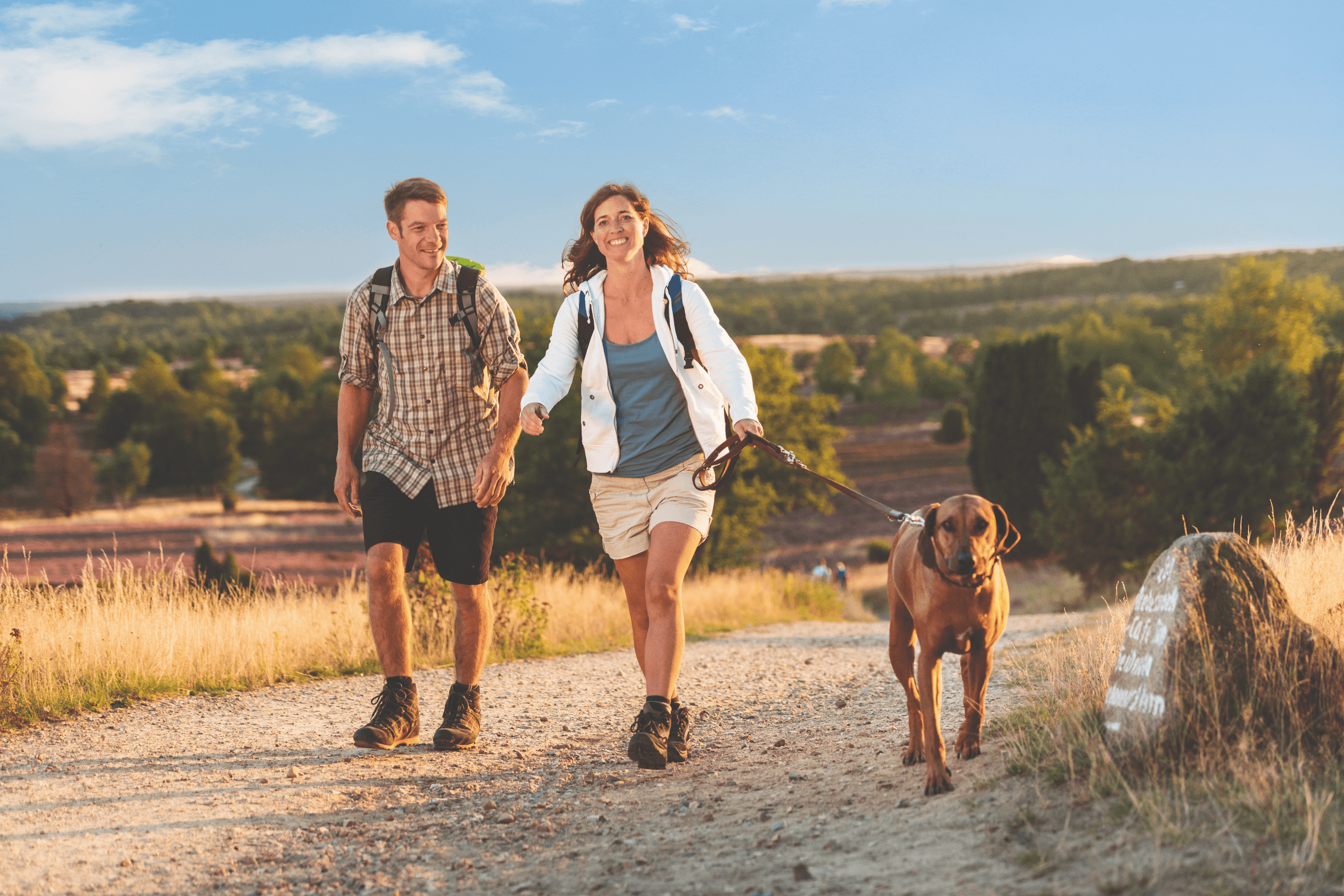 Urlaub mit Hund kann auch Camping mit Hund sein in der Lüneburger Heide