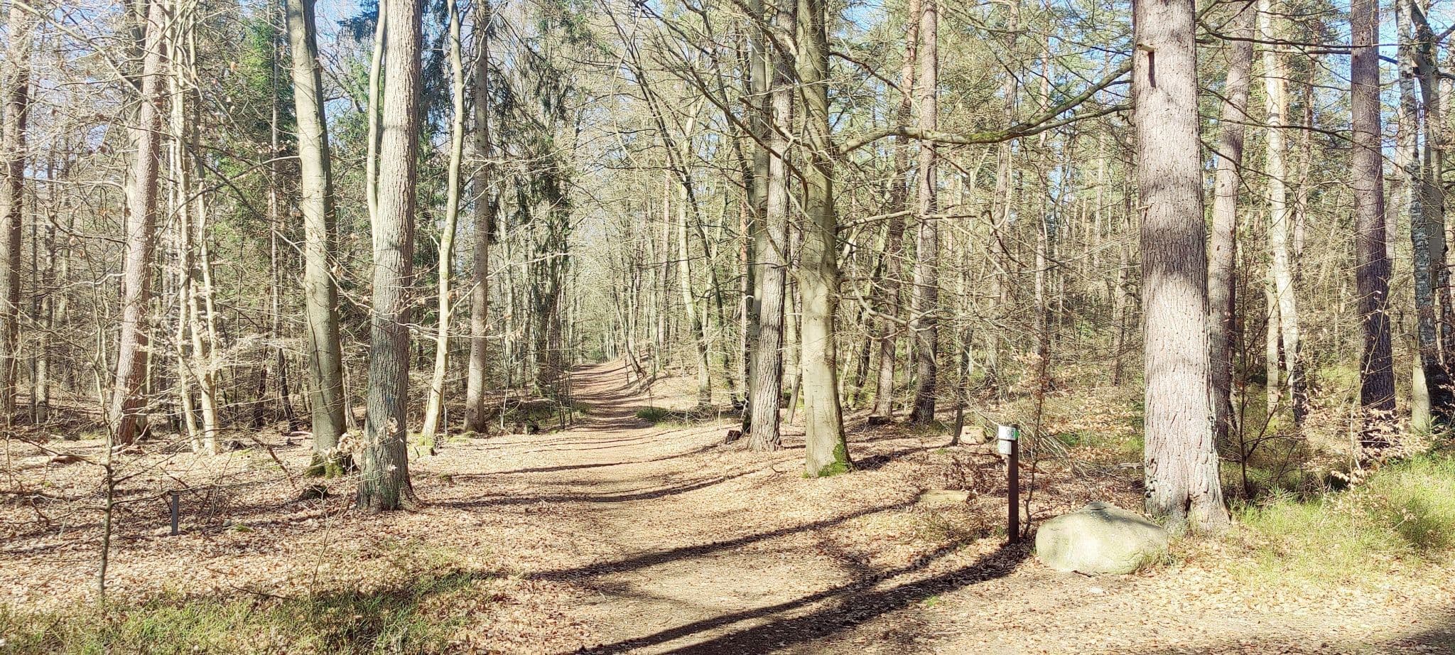 Frühlingshafter Wanderweg bei der Sängershöhe