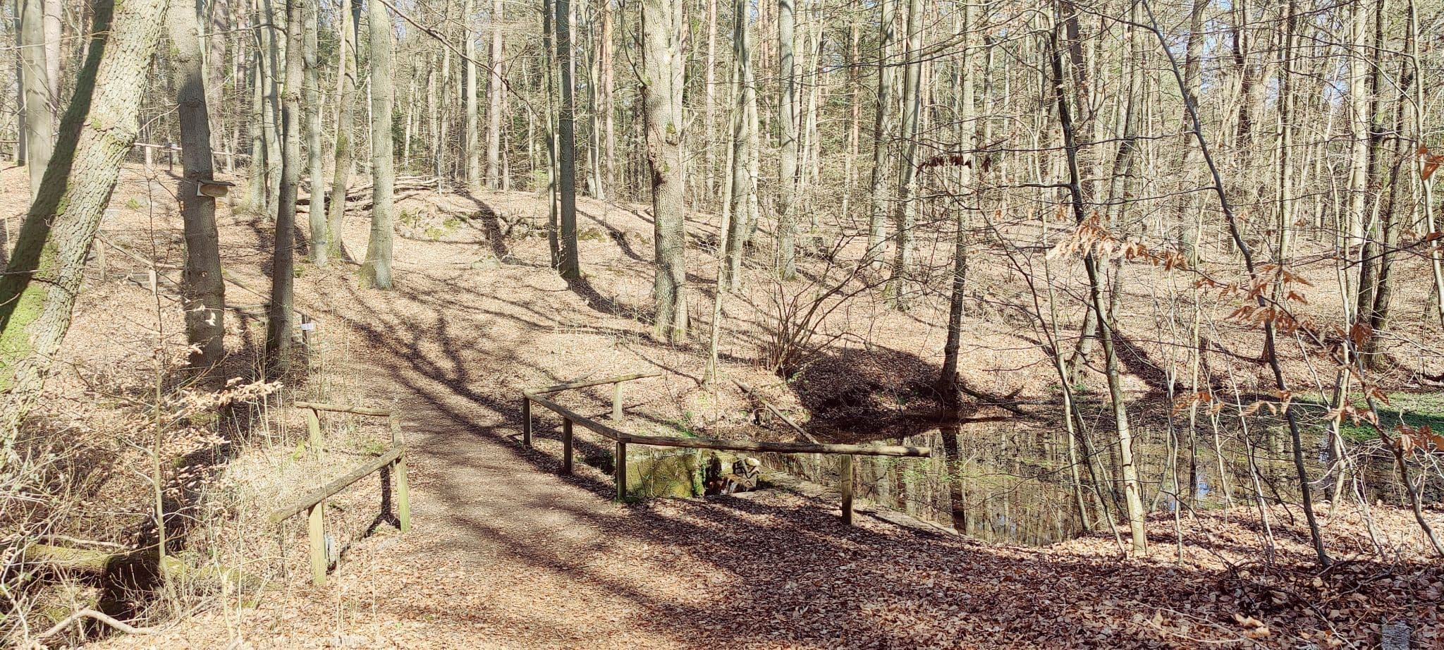 Weg zur Sängershöhe in der Heideregion Uelzen