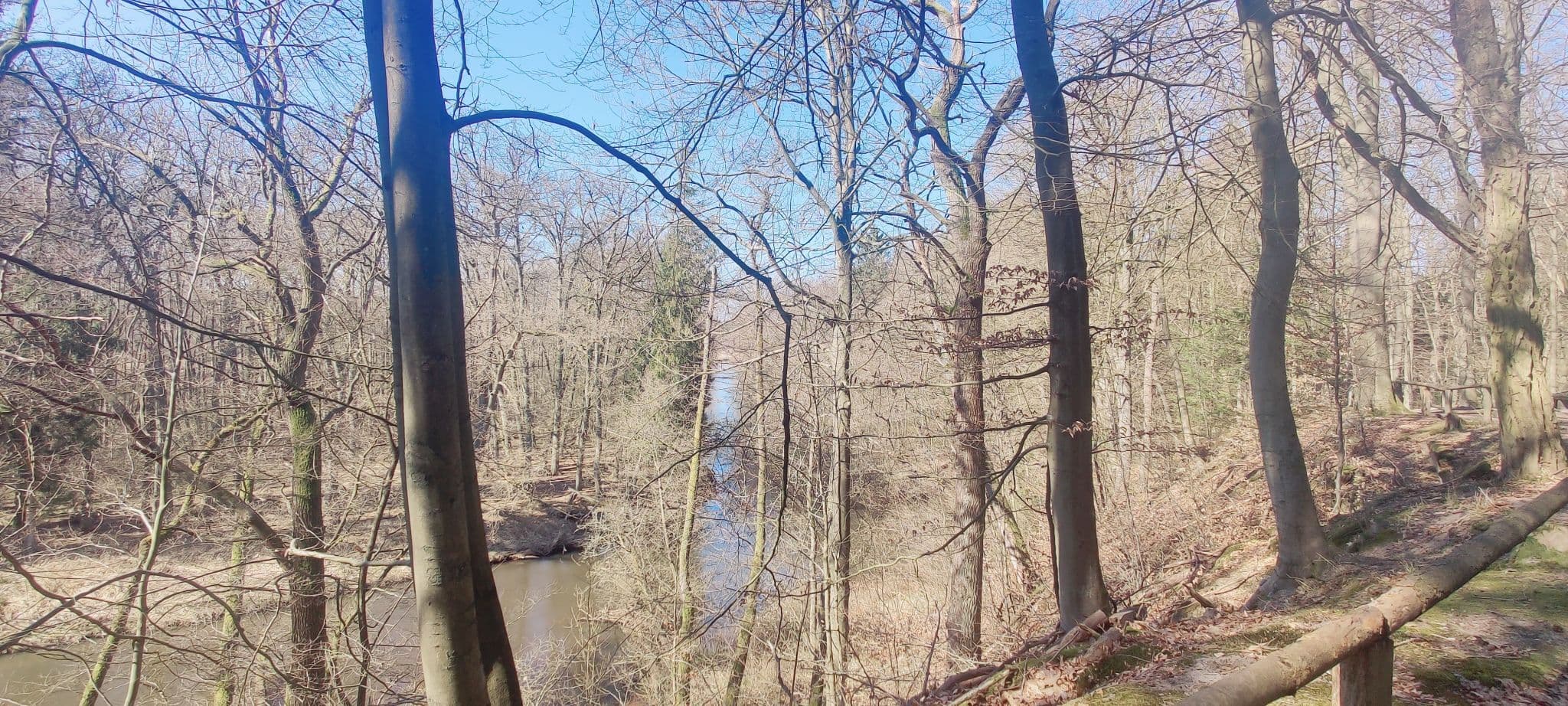 Aussicht ins Ilmenautal bei Medingen
