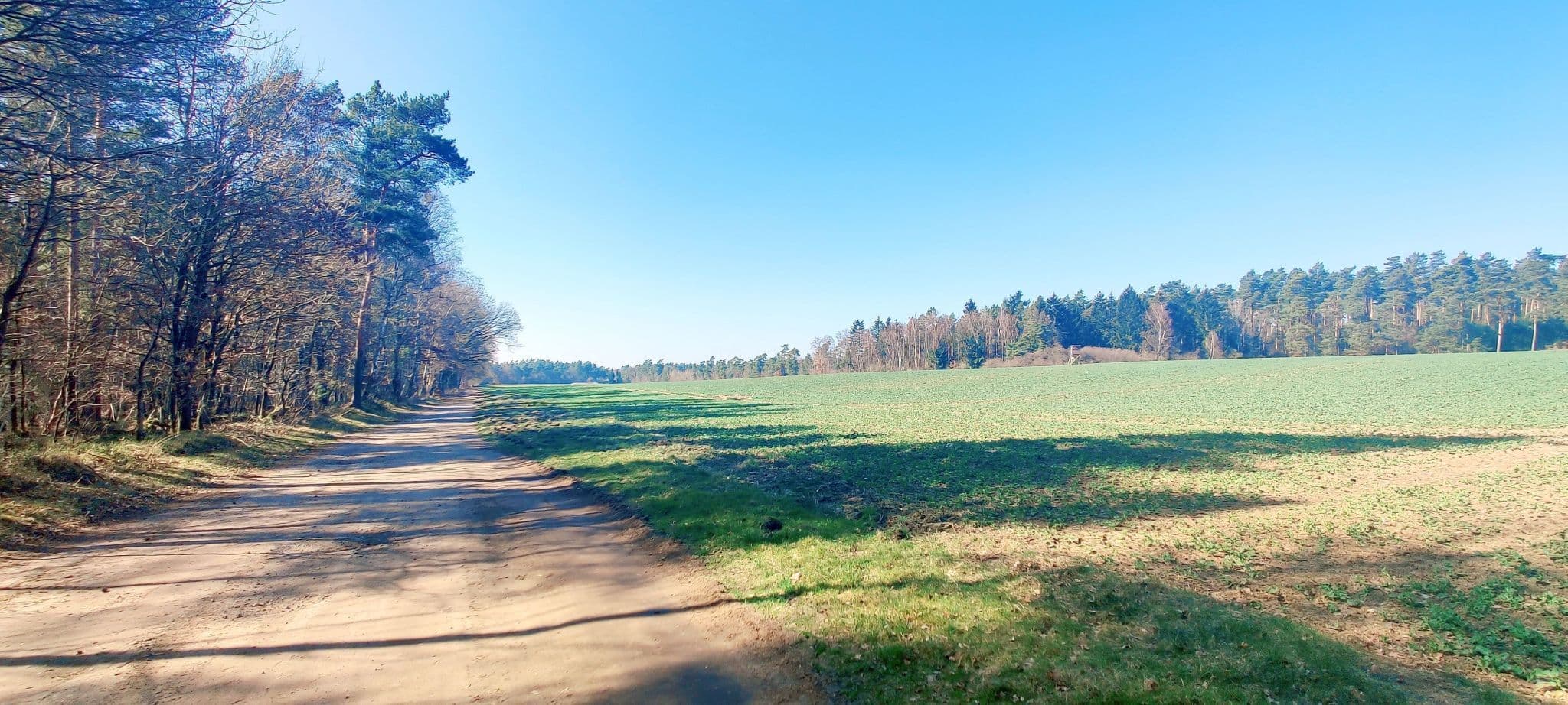 Frühlingsstimmung am Bruchtorfer Weg bei Bad Bevensen