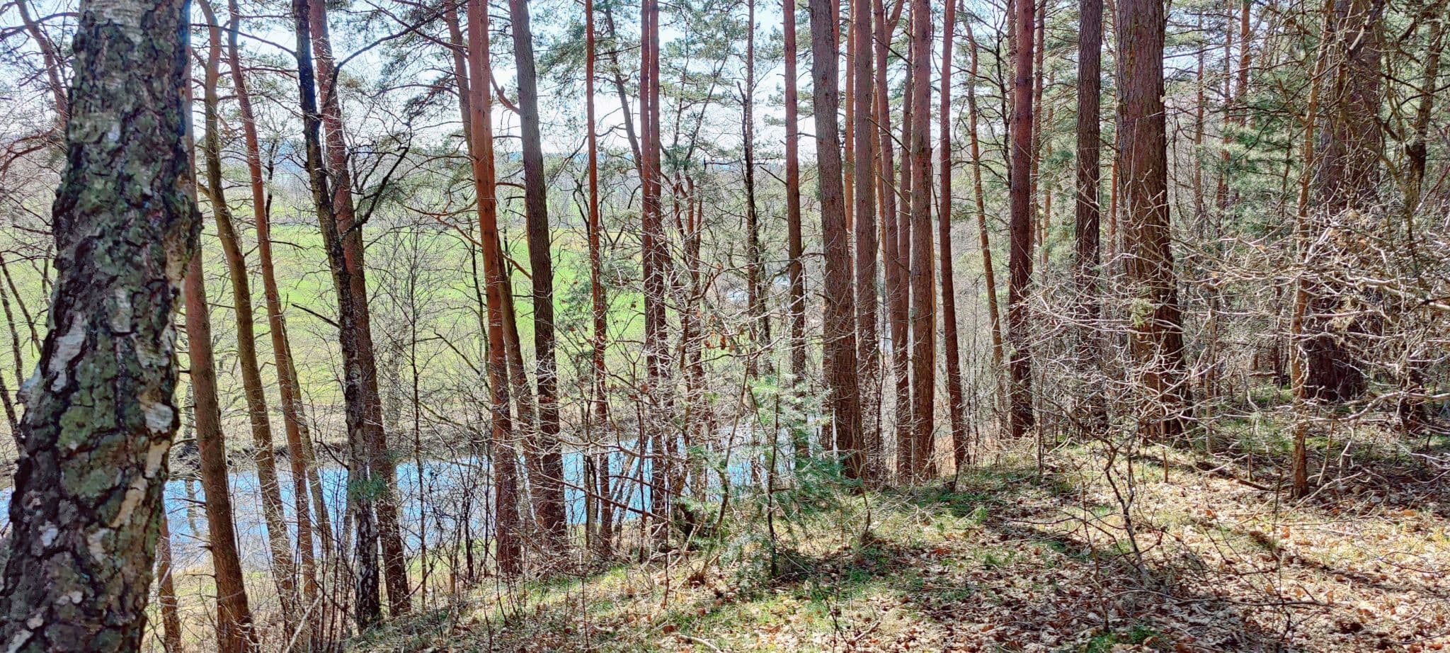 Blick ins Ilmenautal bei Bruchtorf