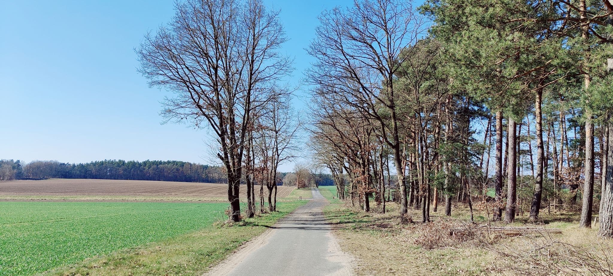 Gravelroute auf dem Klosterweg bei Jelmstorf