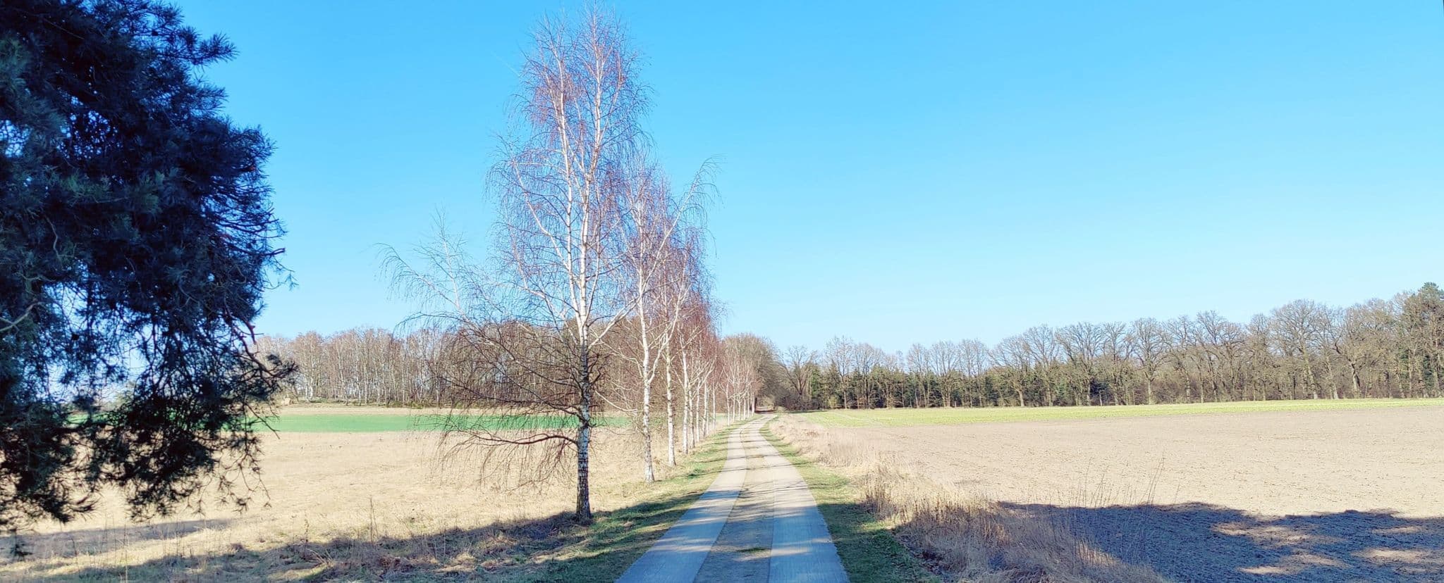 Spurbahnweg auf dem Ilmenauradweg und der Via Scandinavica bei Wichmannsburg