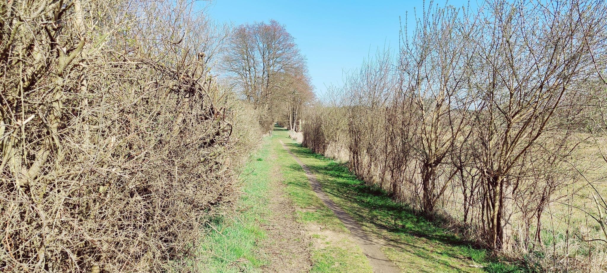 Zwischen Wichmannsburg und dem Sandweg in Bienenbüttel