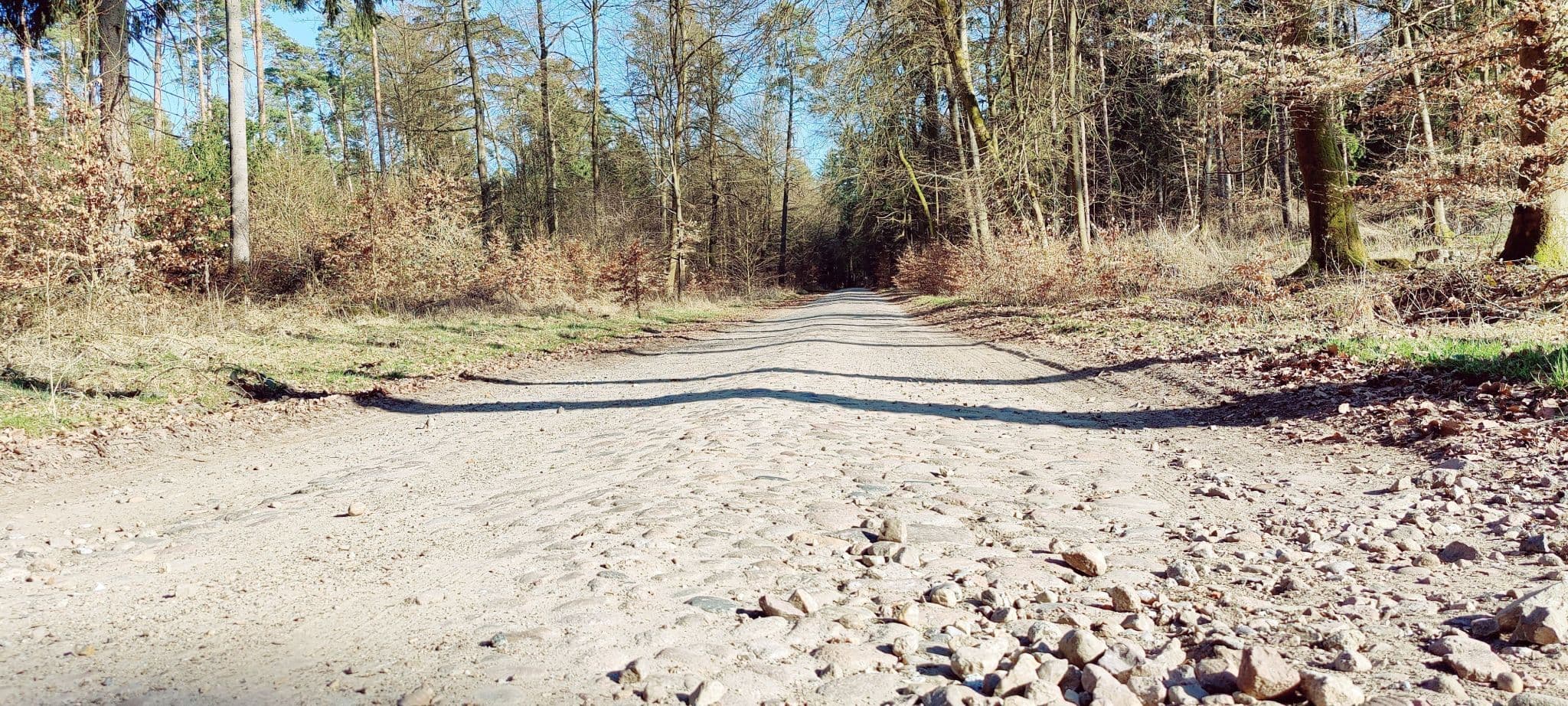 Kopfsteinpflasterweg im Wald bei Solchstorf