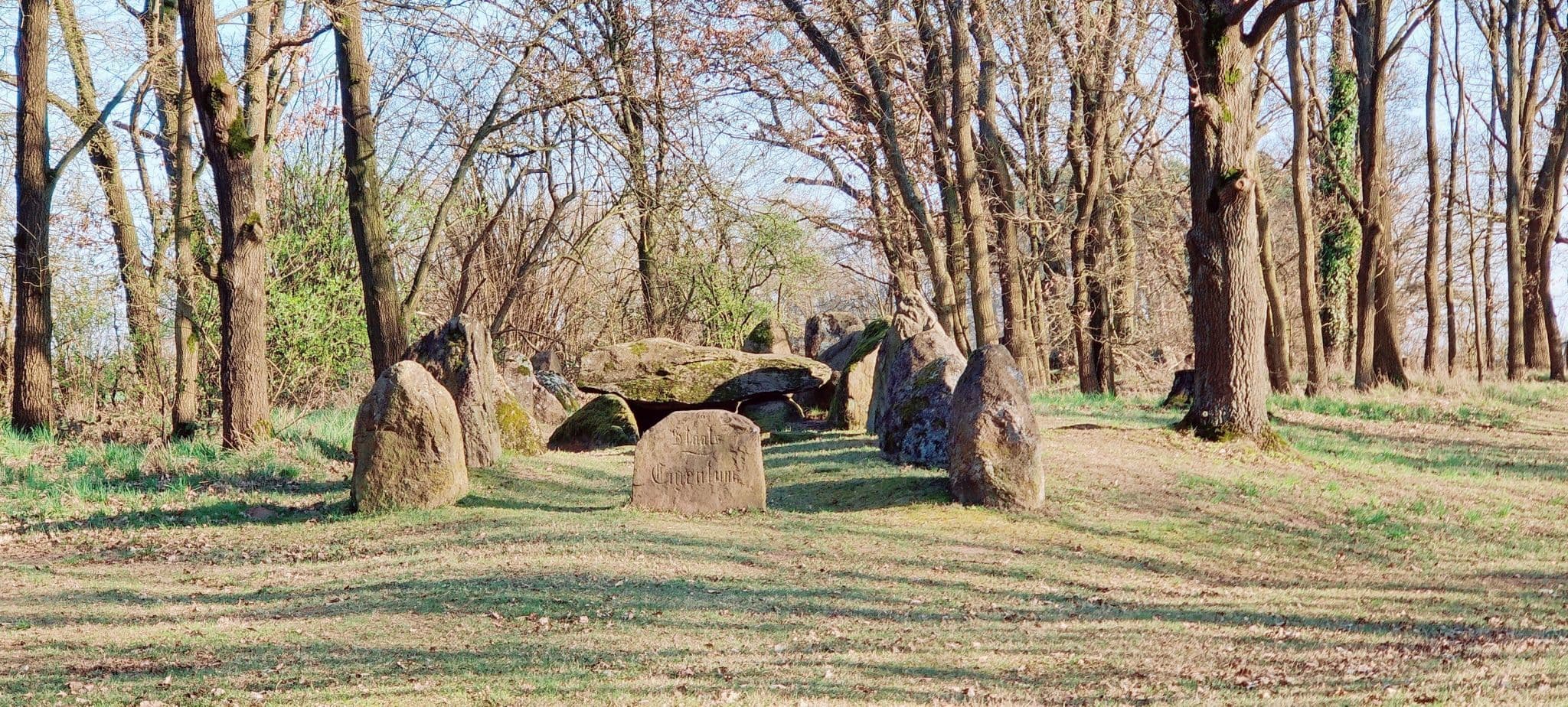 Großsteingrab in Haaßel – Zeugnis der Trichterbecherkultur
