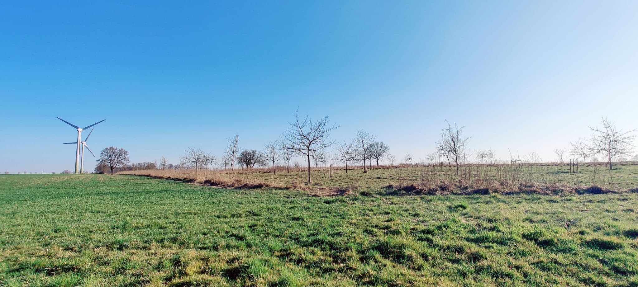 Streuobstwiese mit Windkraftanlage bei Haaßel