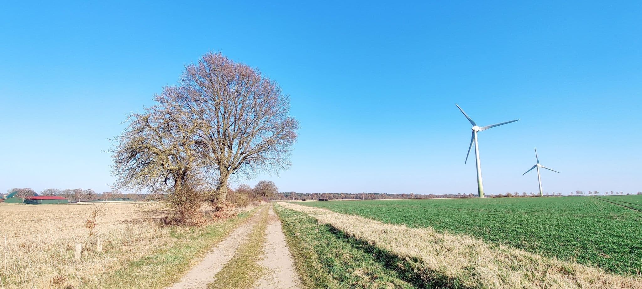 Feldweg mit Windkraftanlagen bei Haaßel