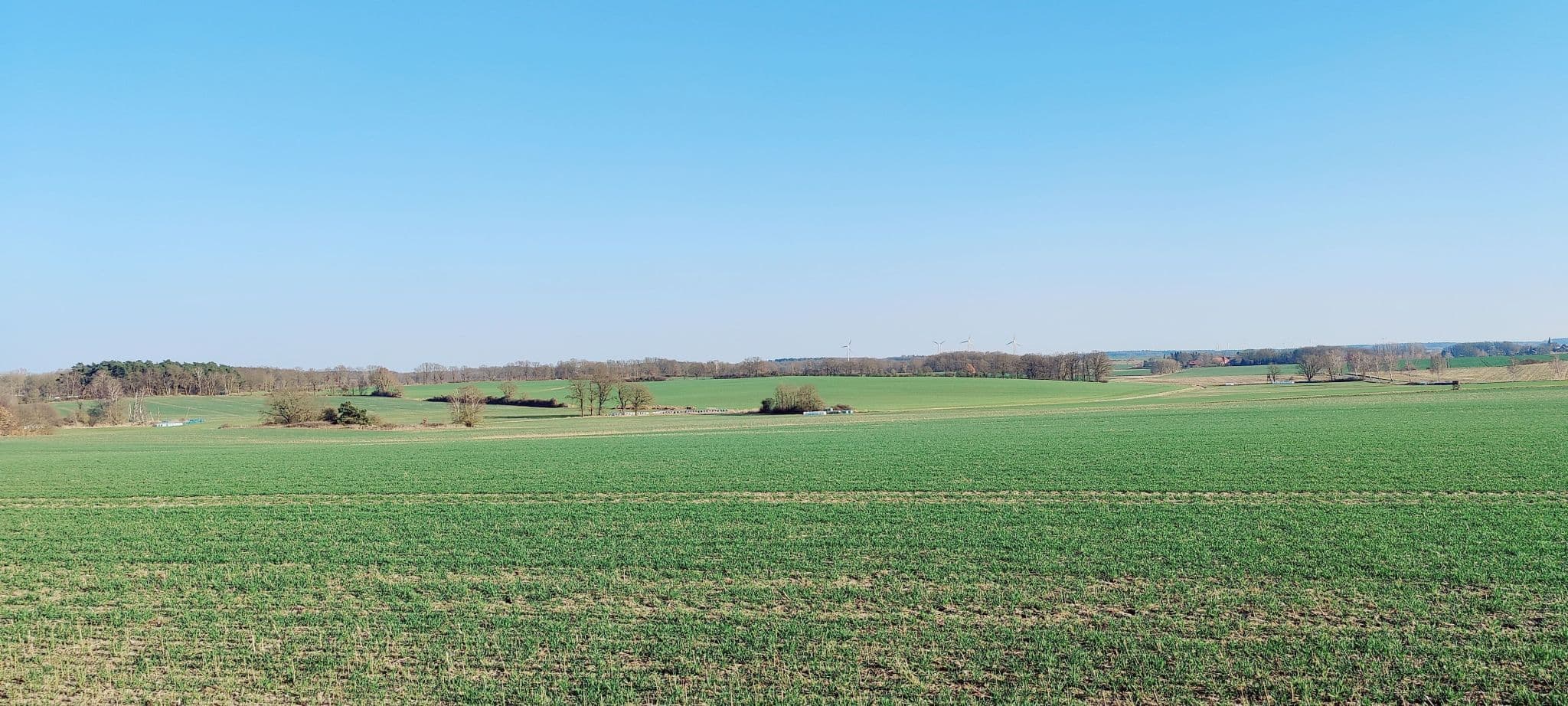 Weite Sicht auf Feldlandschaft bei Niendorf I