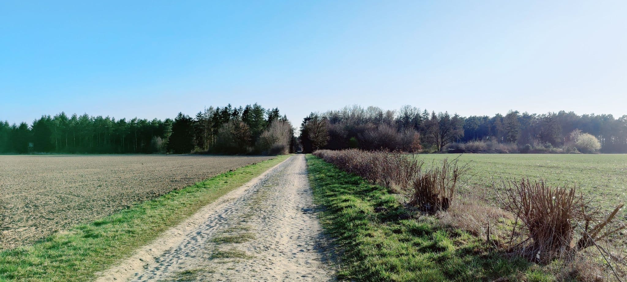 Sandweg durch Feldflur bei Bad Bevensen