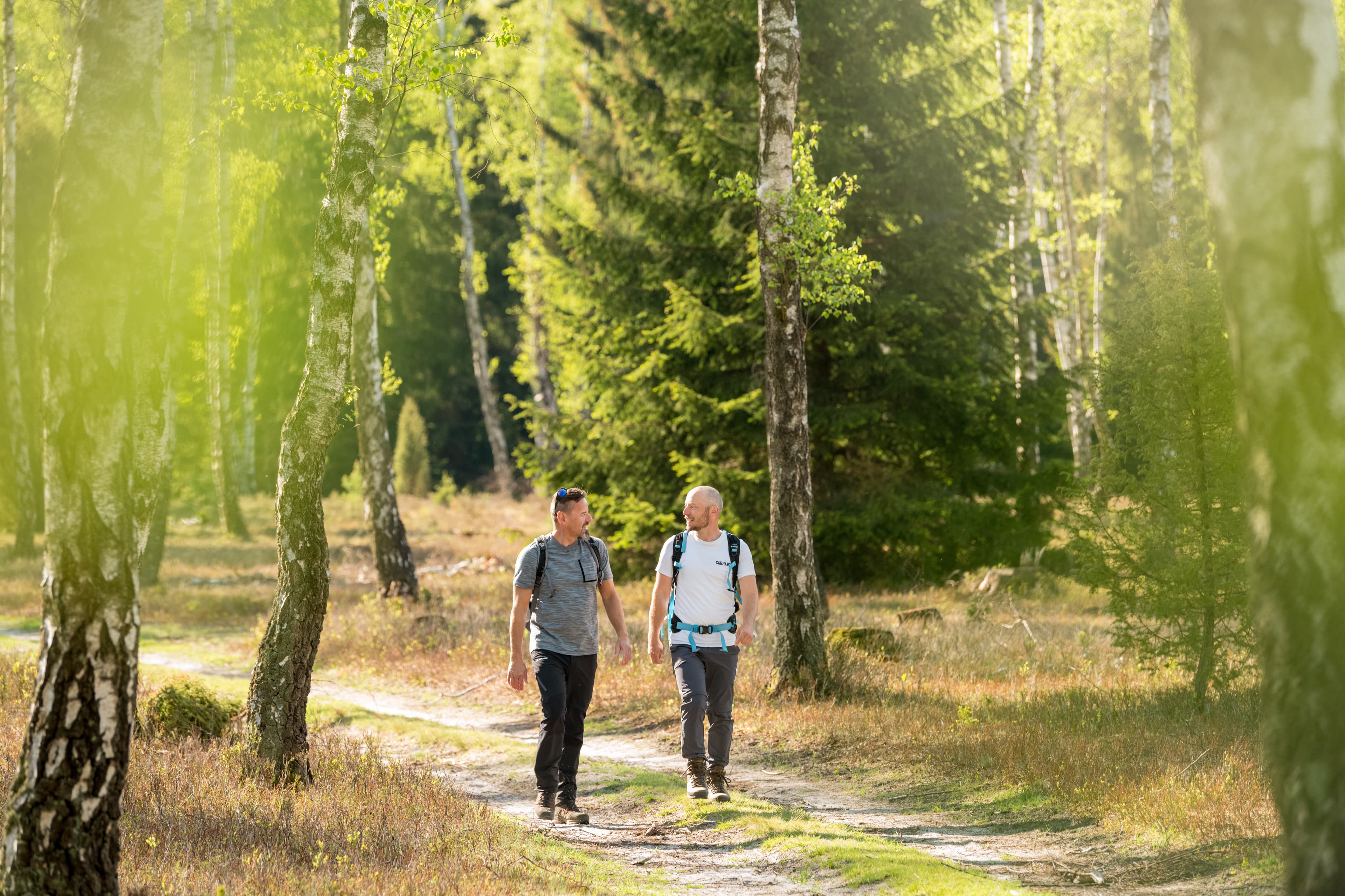 Zwei Wanderer in der Oberoher Heide