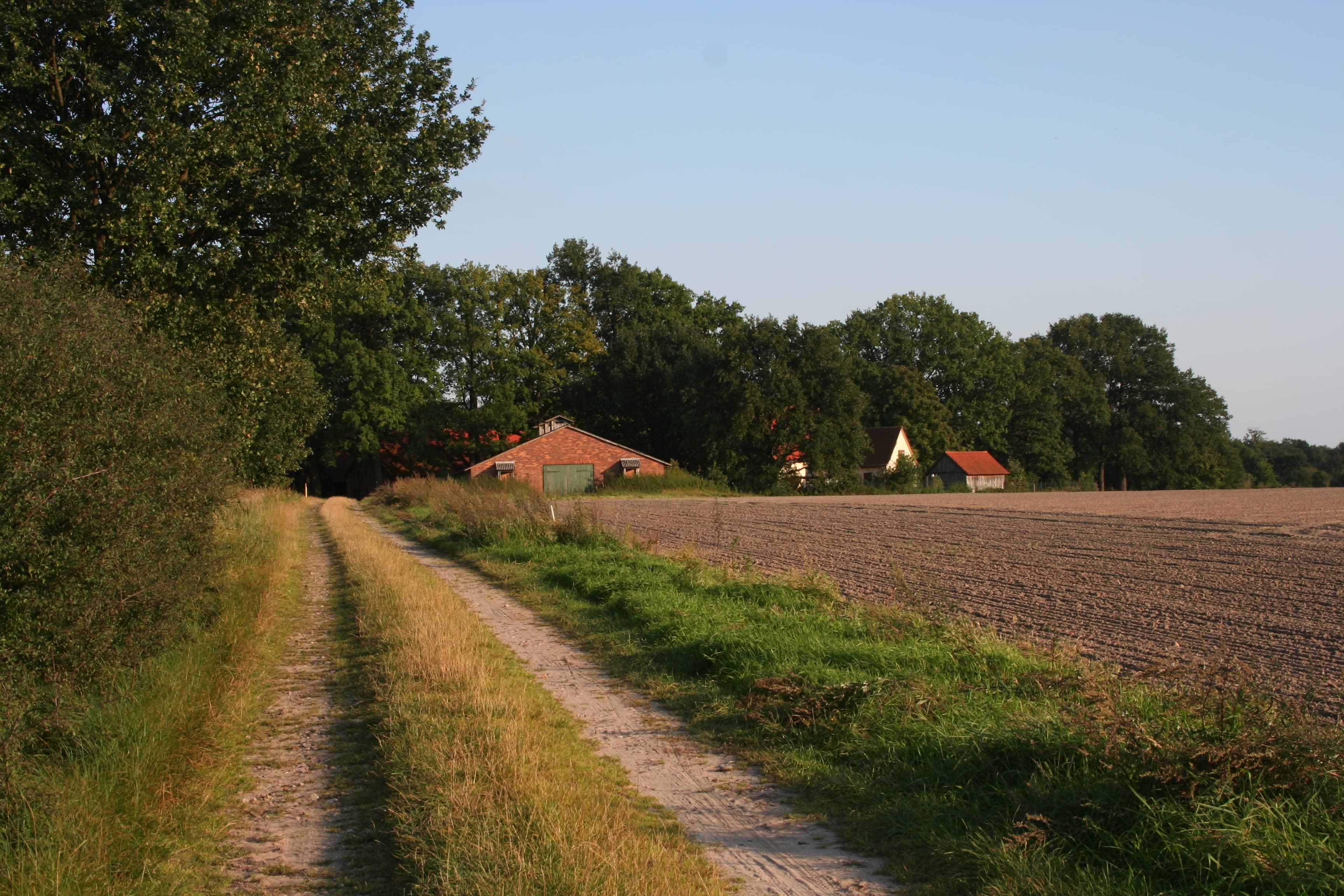 Ehemaliger Totenweg bei Hohne