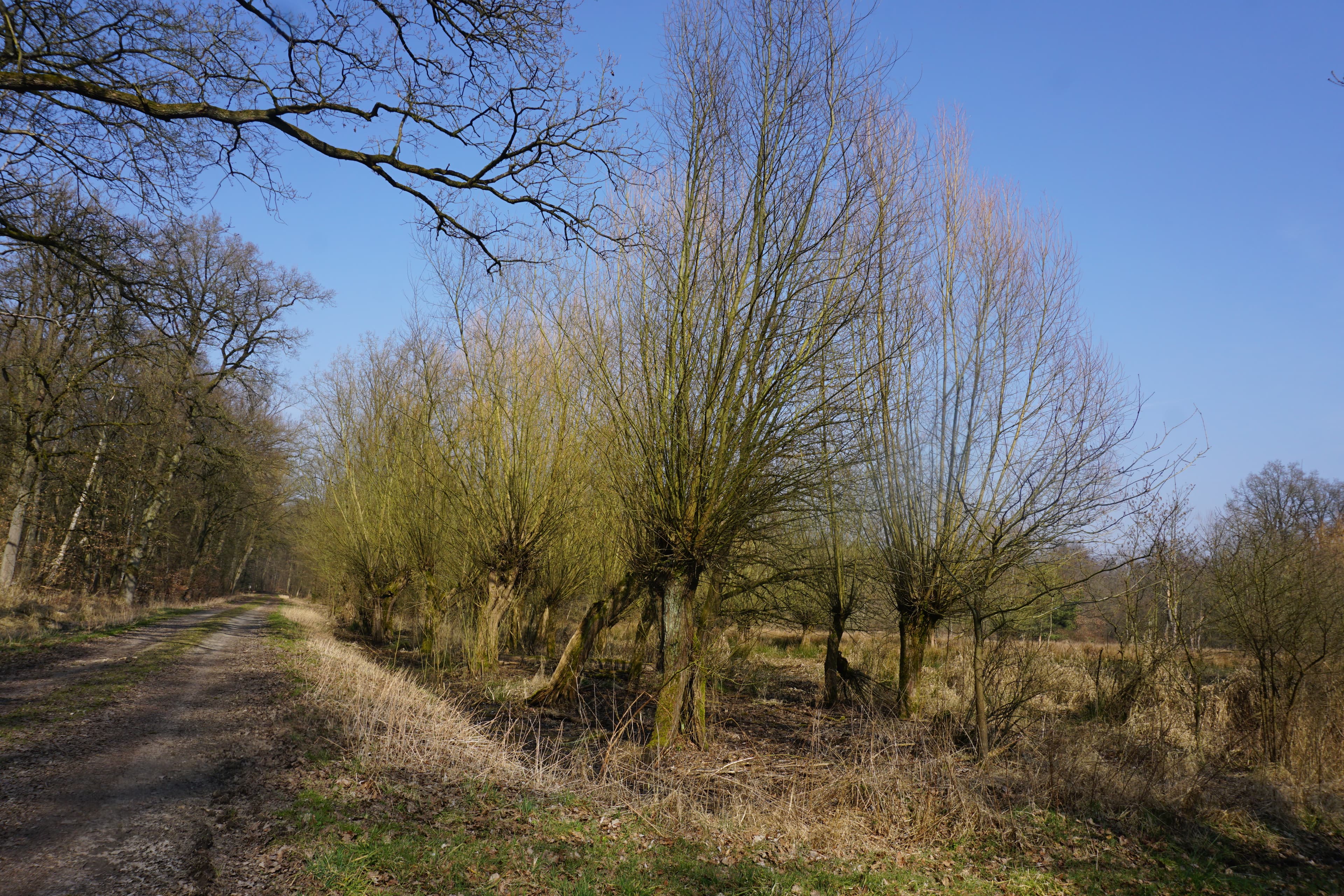 Blick vom Müsseumfuhrdamm