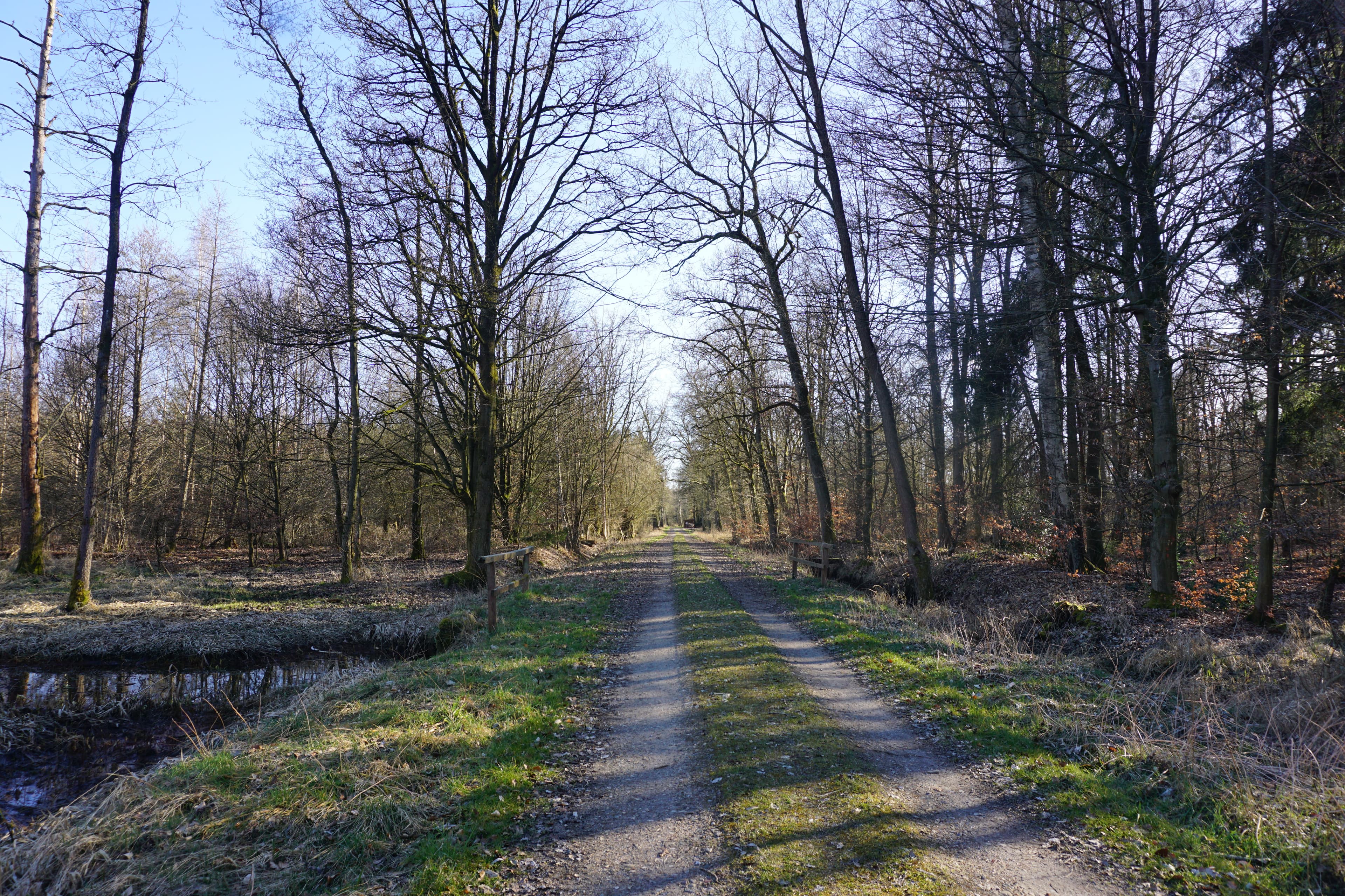 Müsse-Umfuhrdamm von Helmerkamp Richtung Süden