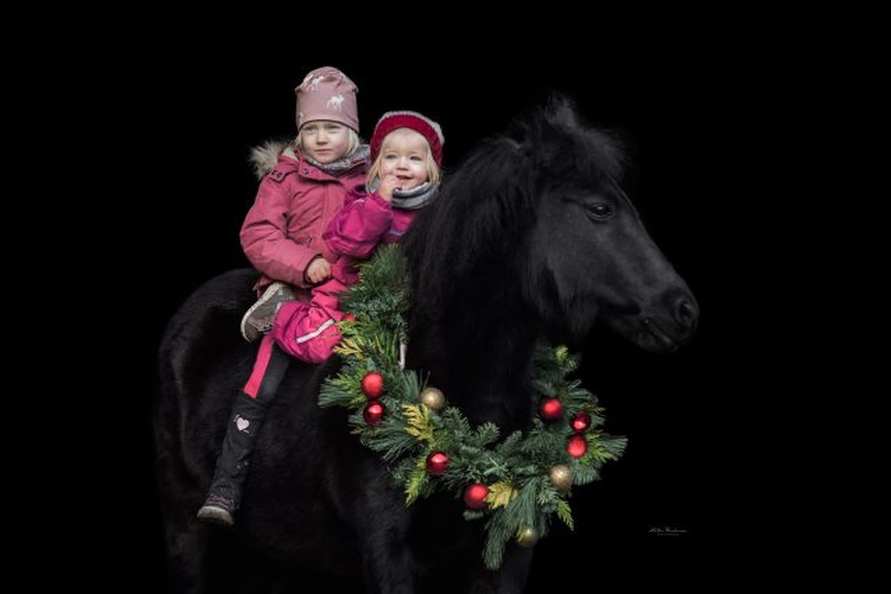 Ponyreiten auf dem Ferienhof Stegen in WietzendorfPony rides at the Stegen vacation farm in WietzendorfPonyridning på feriegården Stegen i WietzendorfPonyrijden op vakantieboerderij Stegen in Wietzendorf
