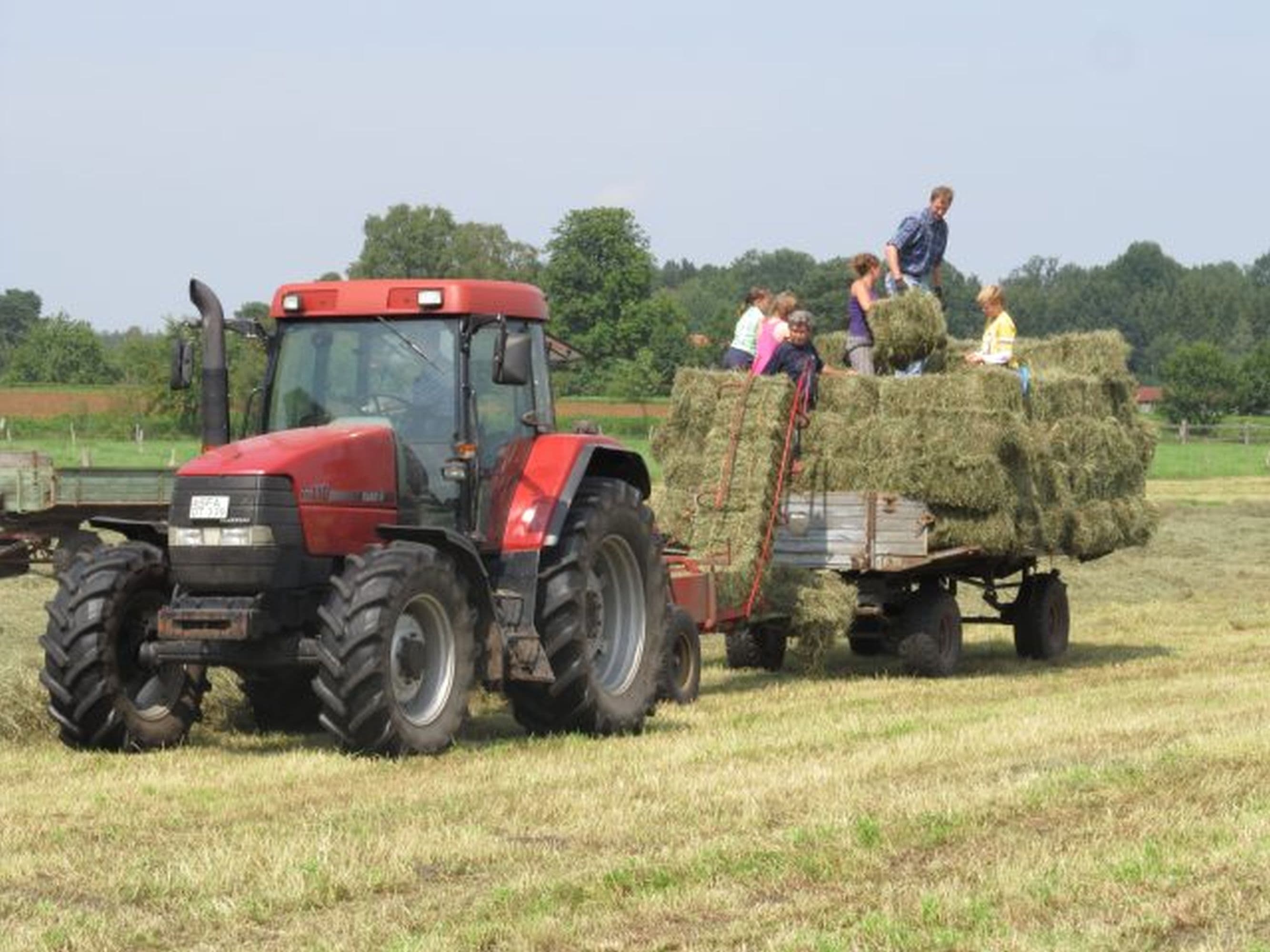 Der Ferienhof Stegen ist ein landwirtschaftlicher Betrieb in Wietzendorf The Ferienhof Stegen is a farm in WietzendorfFeriegården Stegen er en landbrugsvirksomhed i WietzendorfVakantieboerderij Stegen is een landbouwbedrijf in Wietzendorf