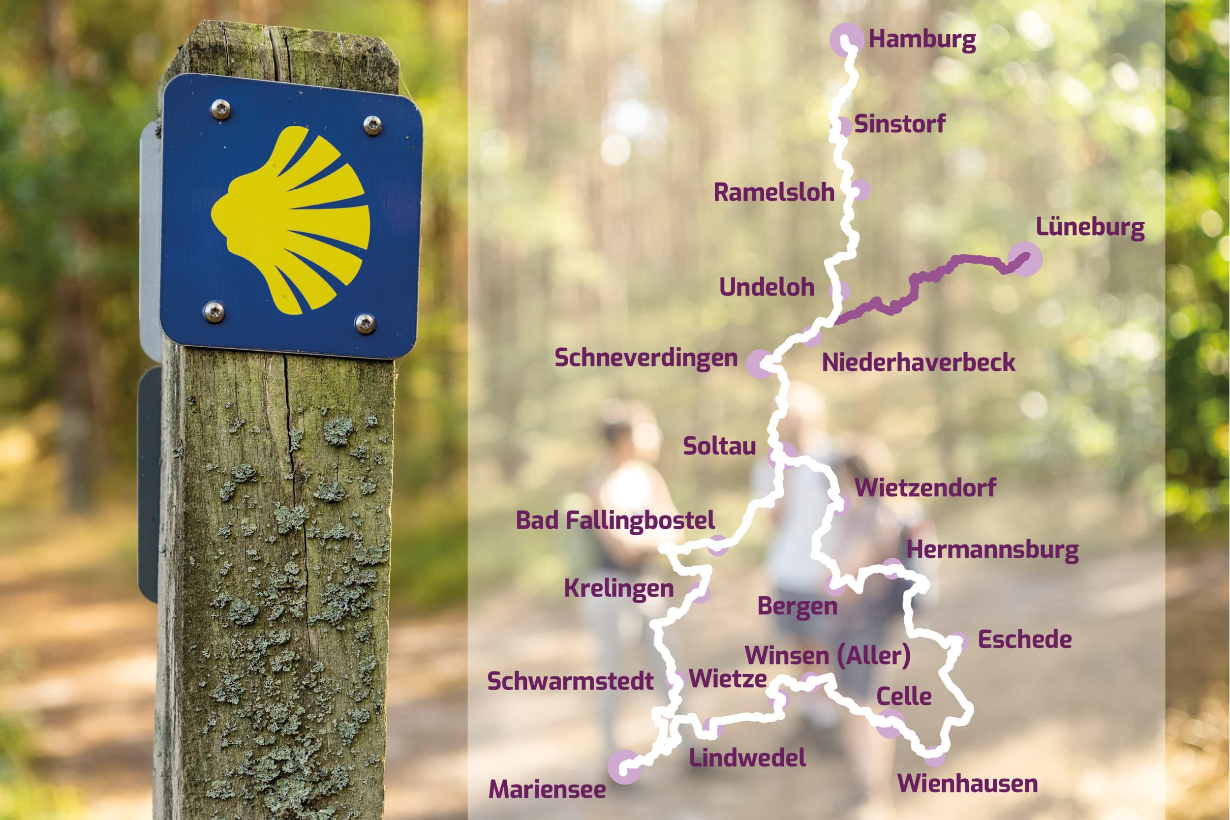 Streckenverlauf Jacobusweg Lüneburger Heide