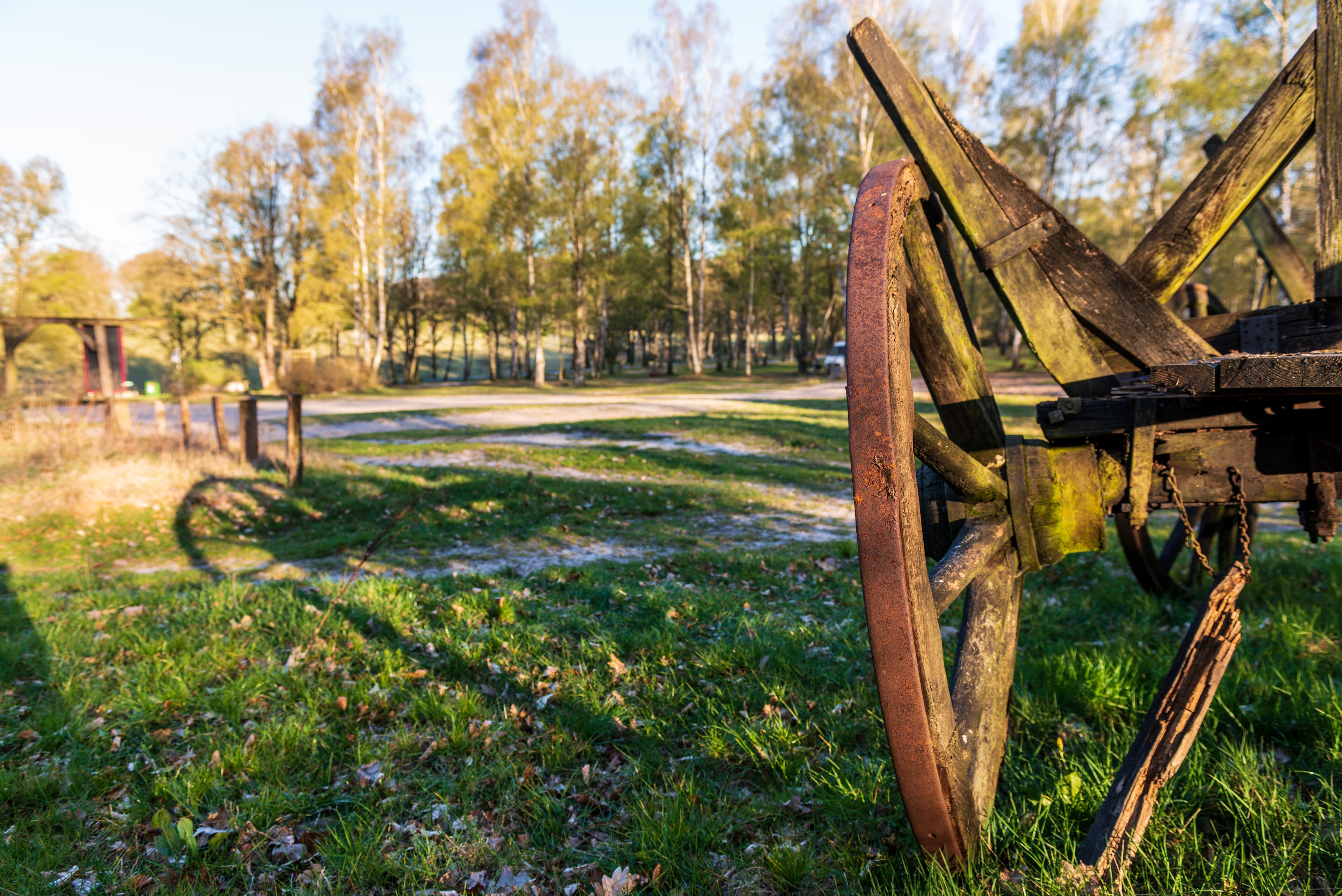 Wandern auf dem Heidschnuckenweg in der Lüneburger Heide