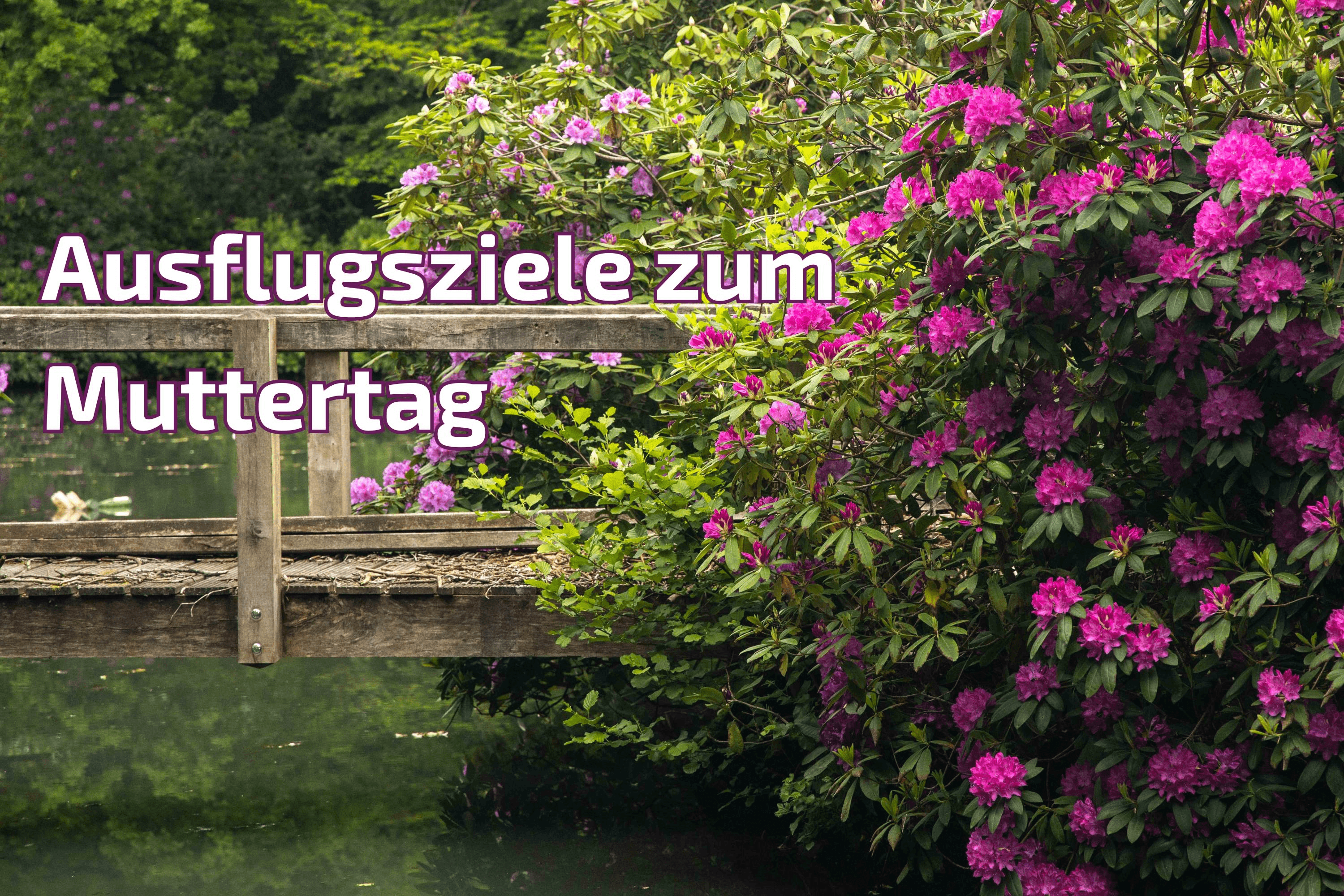 Rhododendron an einer Brücke im Breidings Garten in Soltau mit Schrift zum Muttertag