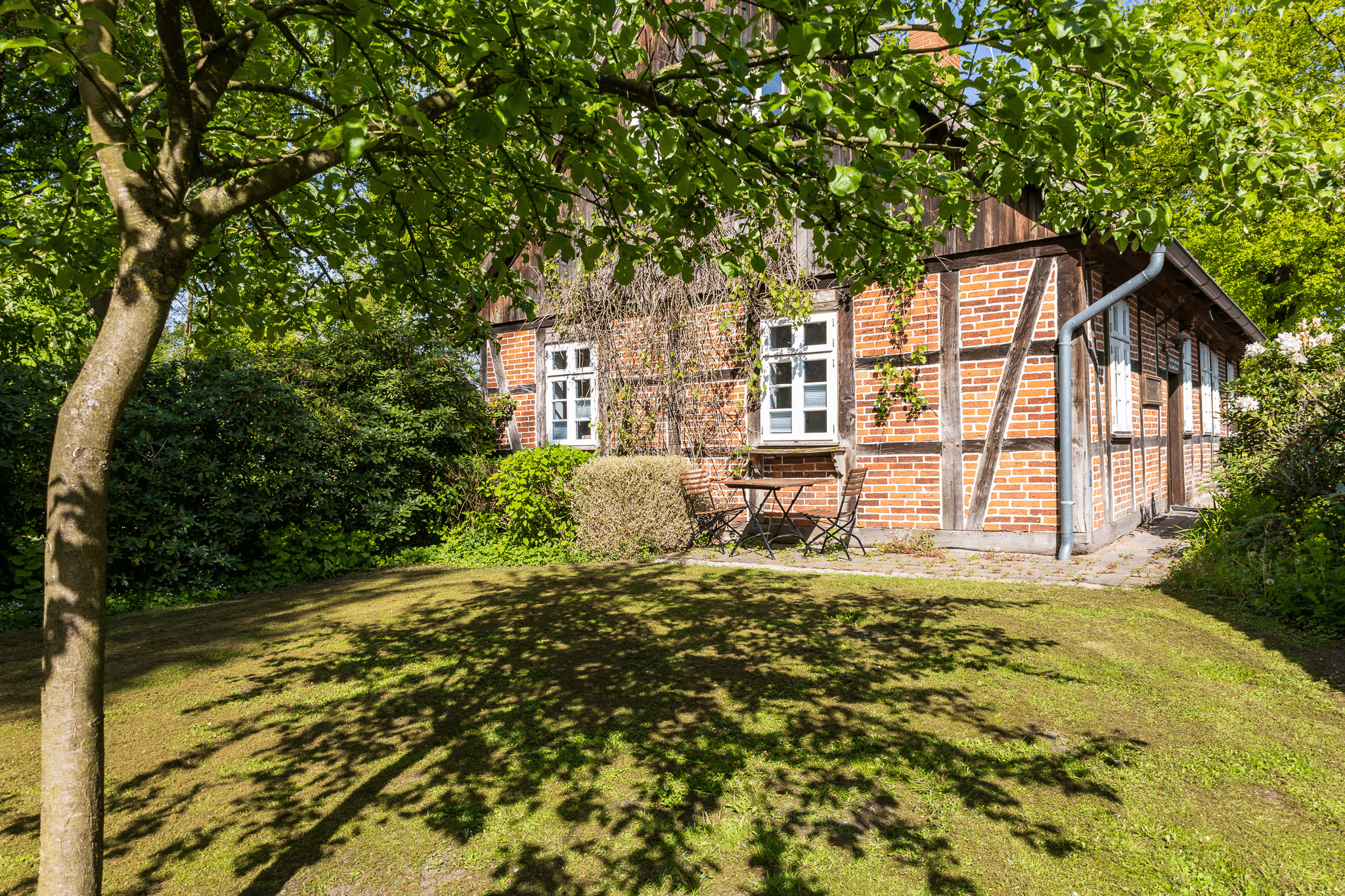 Ferienwohnung Alte Bauernkate in Müden
