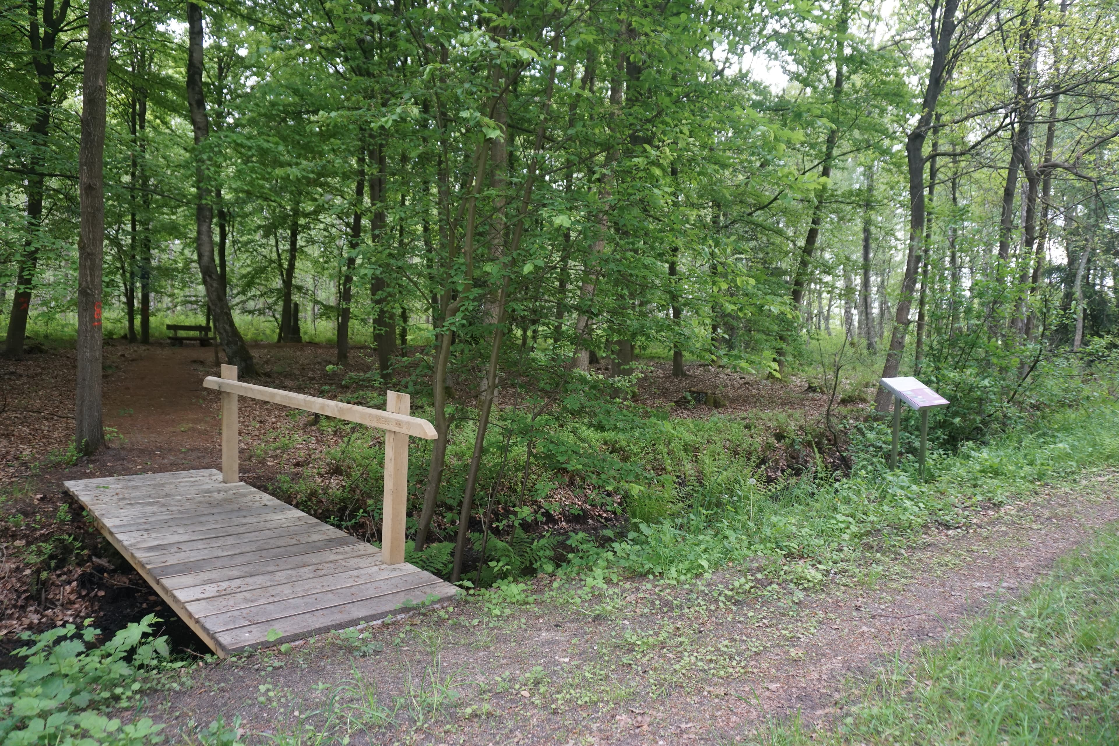 Am Blitzopfer Gedenkstein Wanderweg Hohne