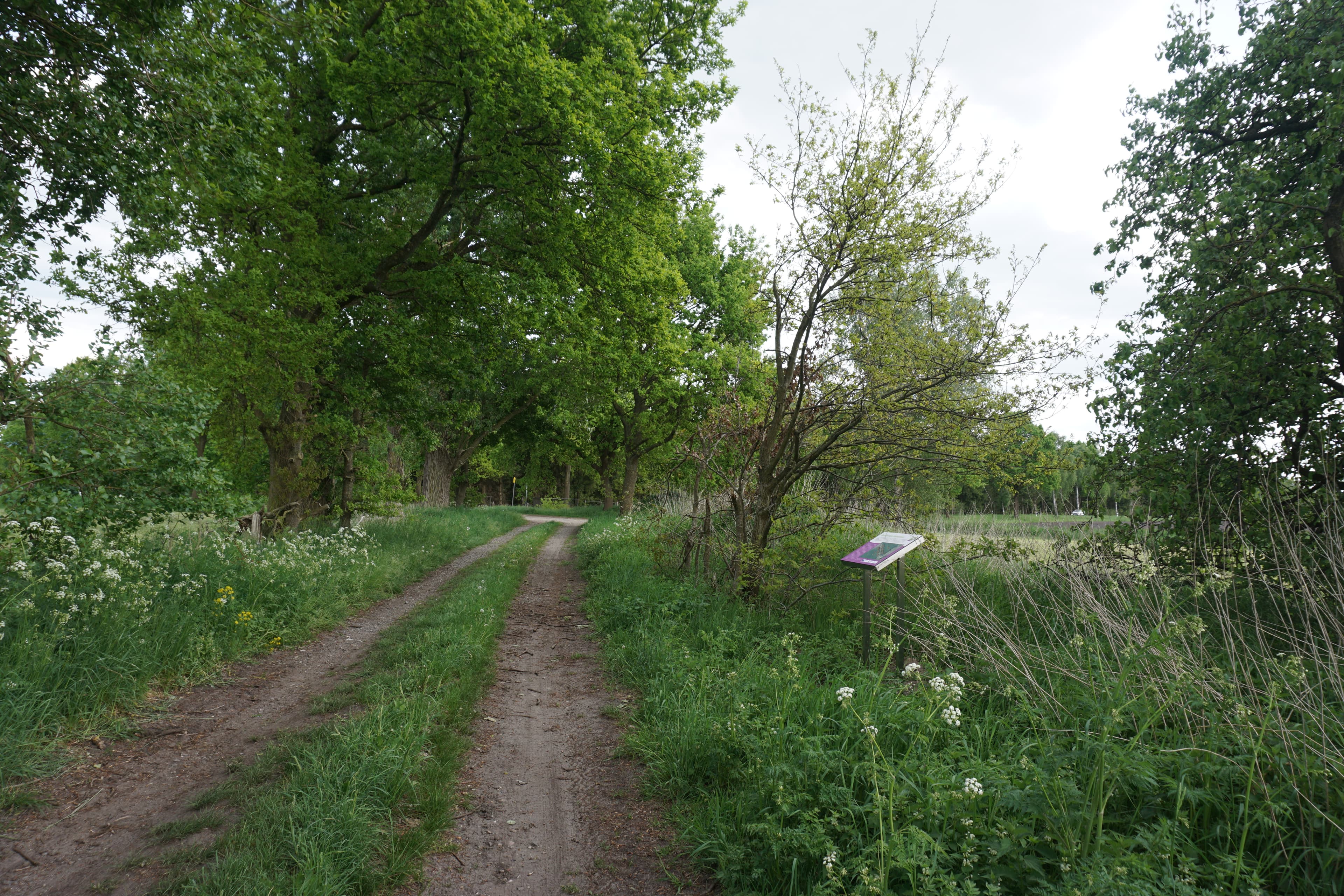 Auf dem Barackenweg Wanderweg Hohne