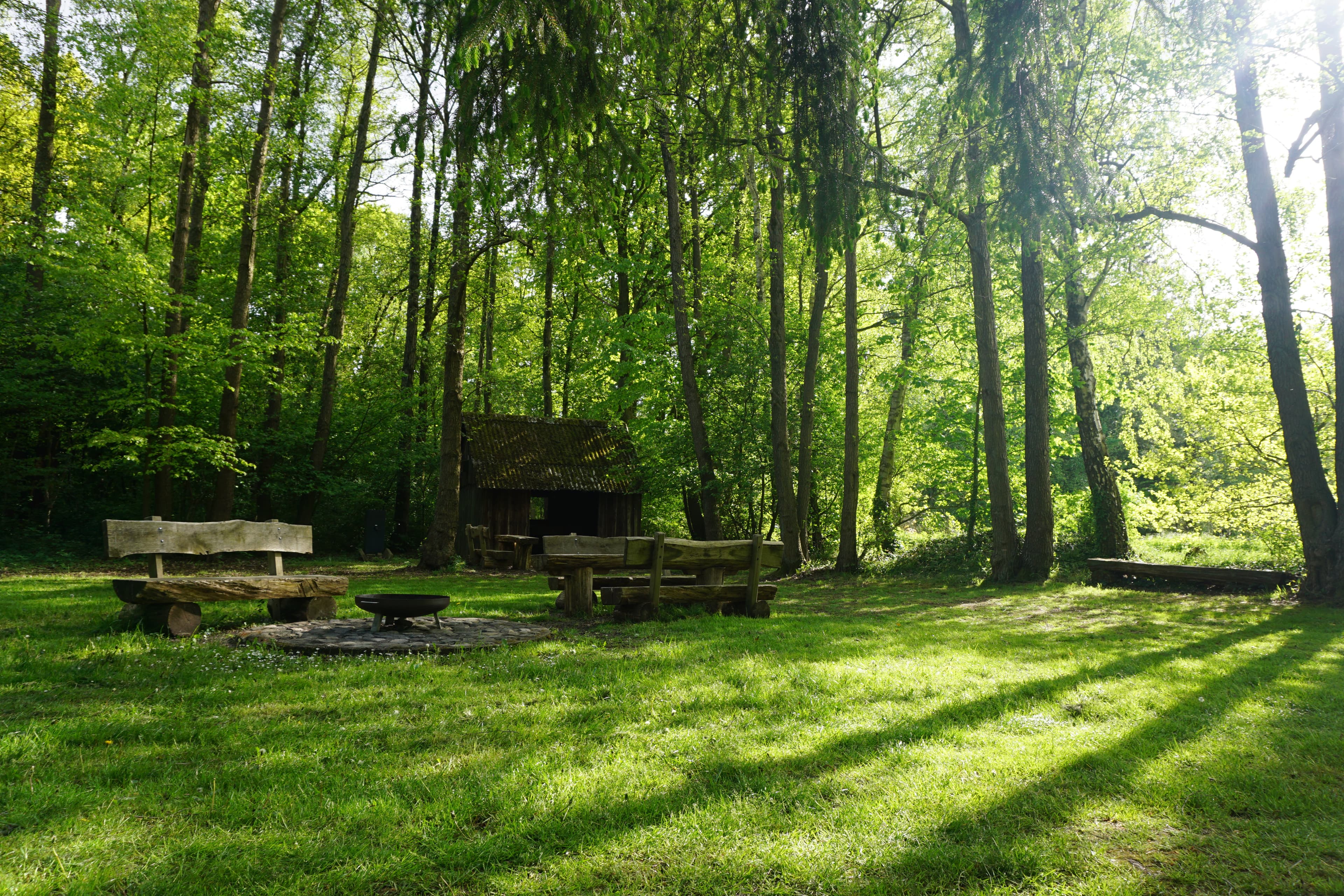 Der Rote Platz Wanderweg Hohne