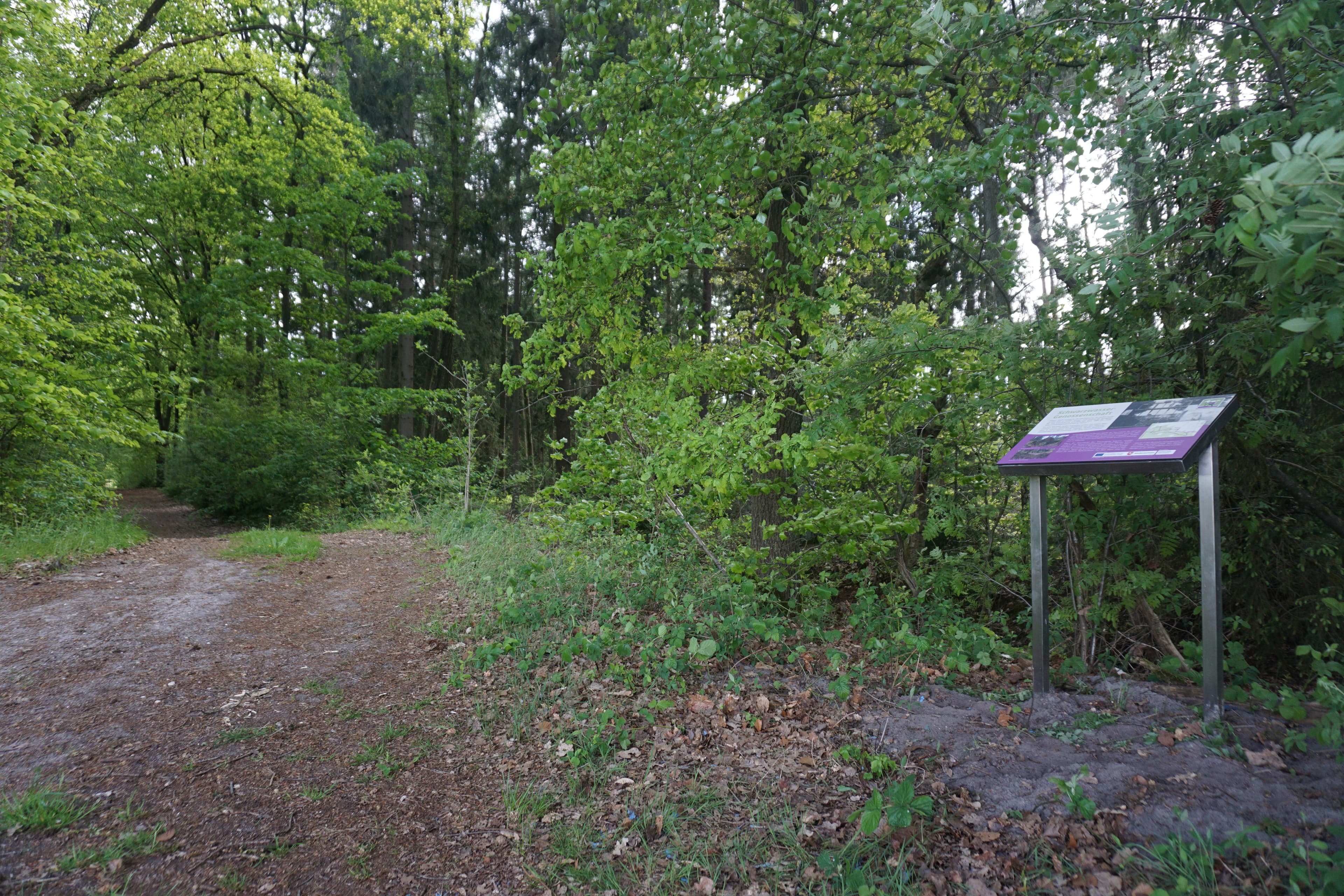 Thementafel Schwarzwasser Staugenossenschaft Wanderweg Hohne