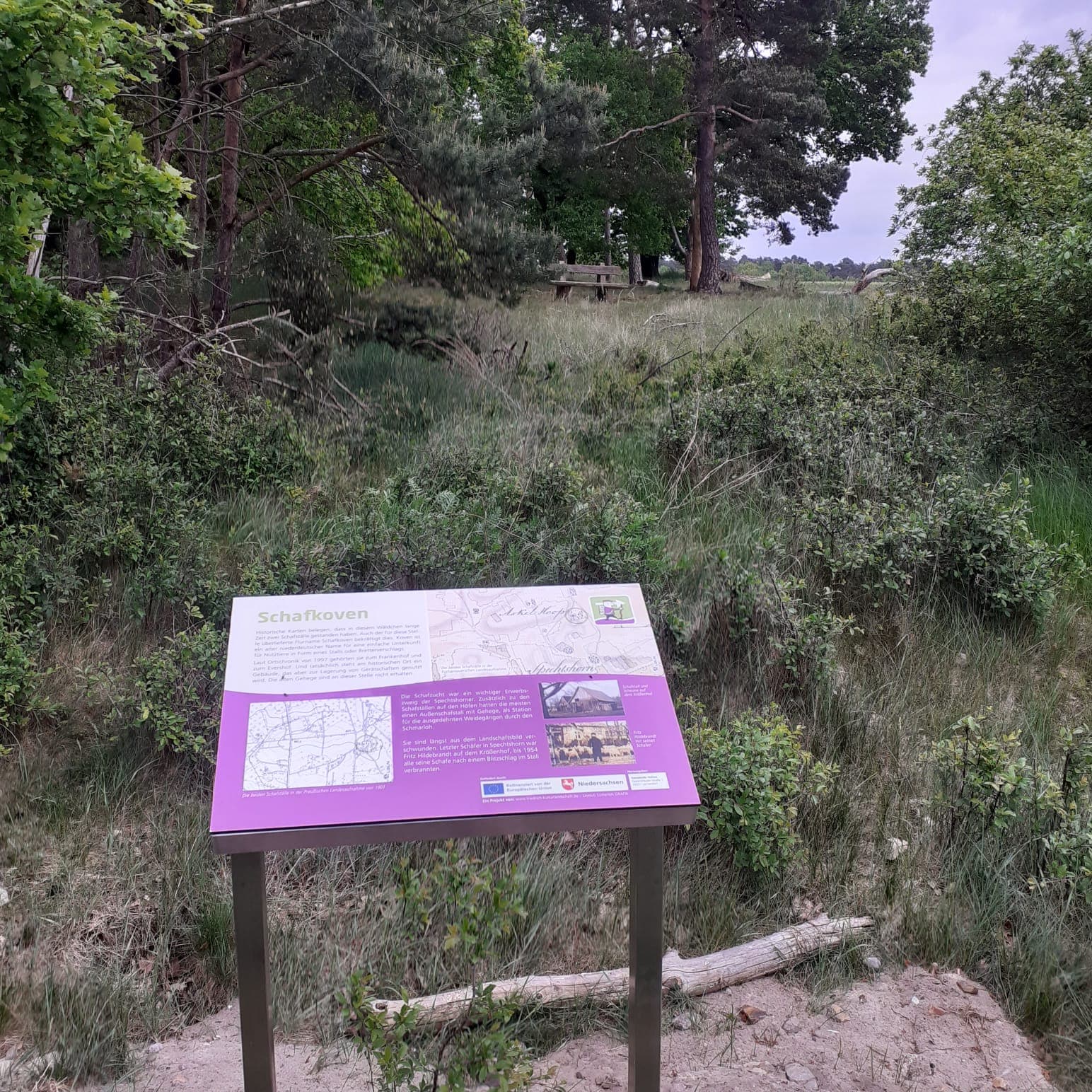 Thementafel Schafkoven Wanderweg Hohne