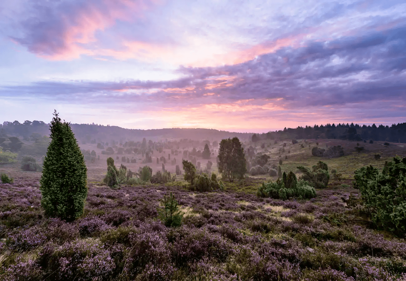 Eine der meistbesuchten Attraktionen in der Lüneburger Heide ist der Totengrund