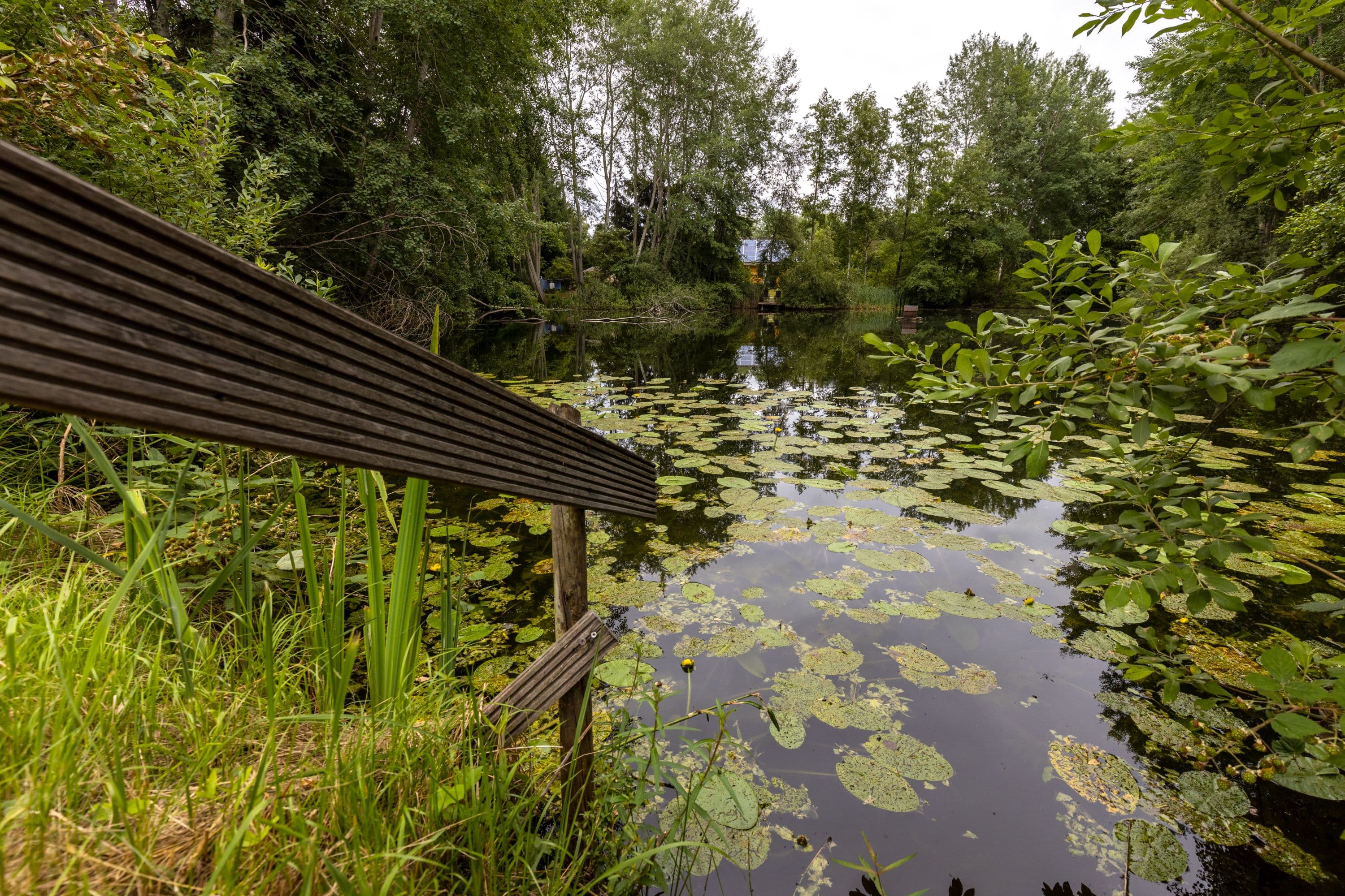 See am Ferienhaus Villa Duck-Dich Südheide Hermannsburg