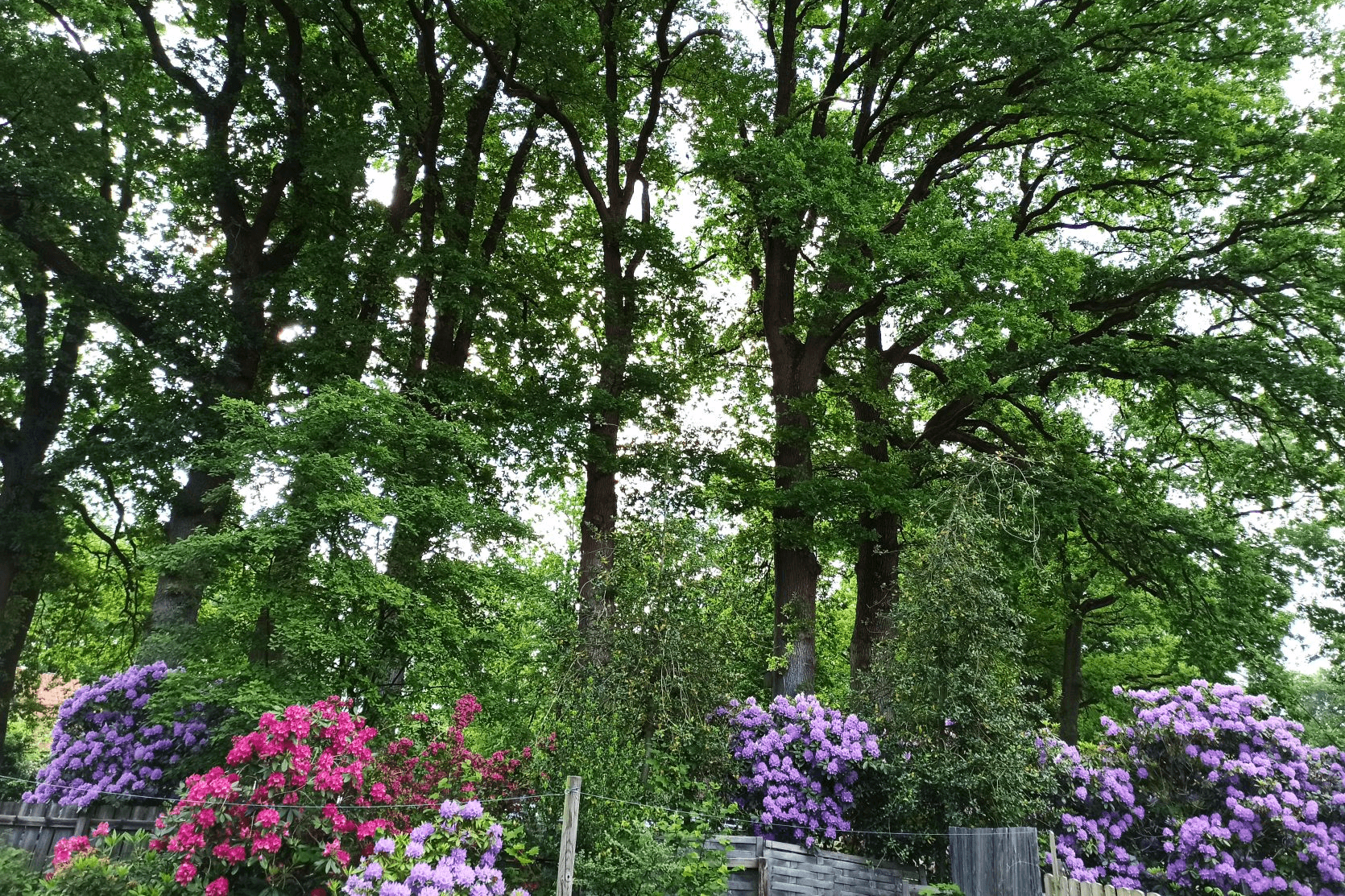 Garten der Ferienwohnung Bernsteinstube in Hermannsburg