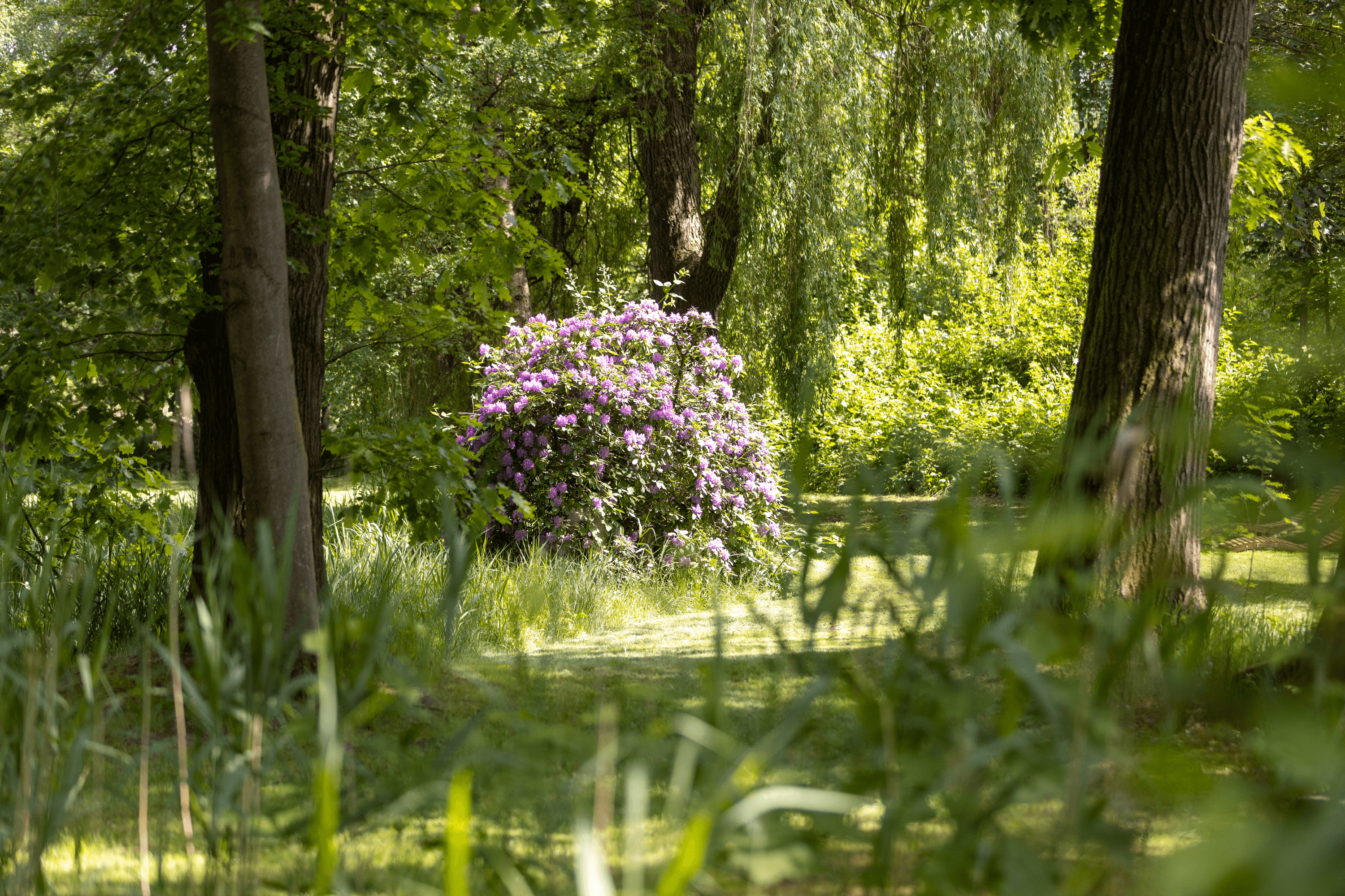 Garten vom Gutshof im Oertzetal in Oldendorf bei Hermannsburg