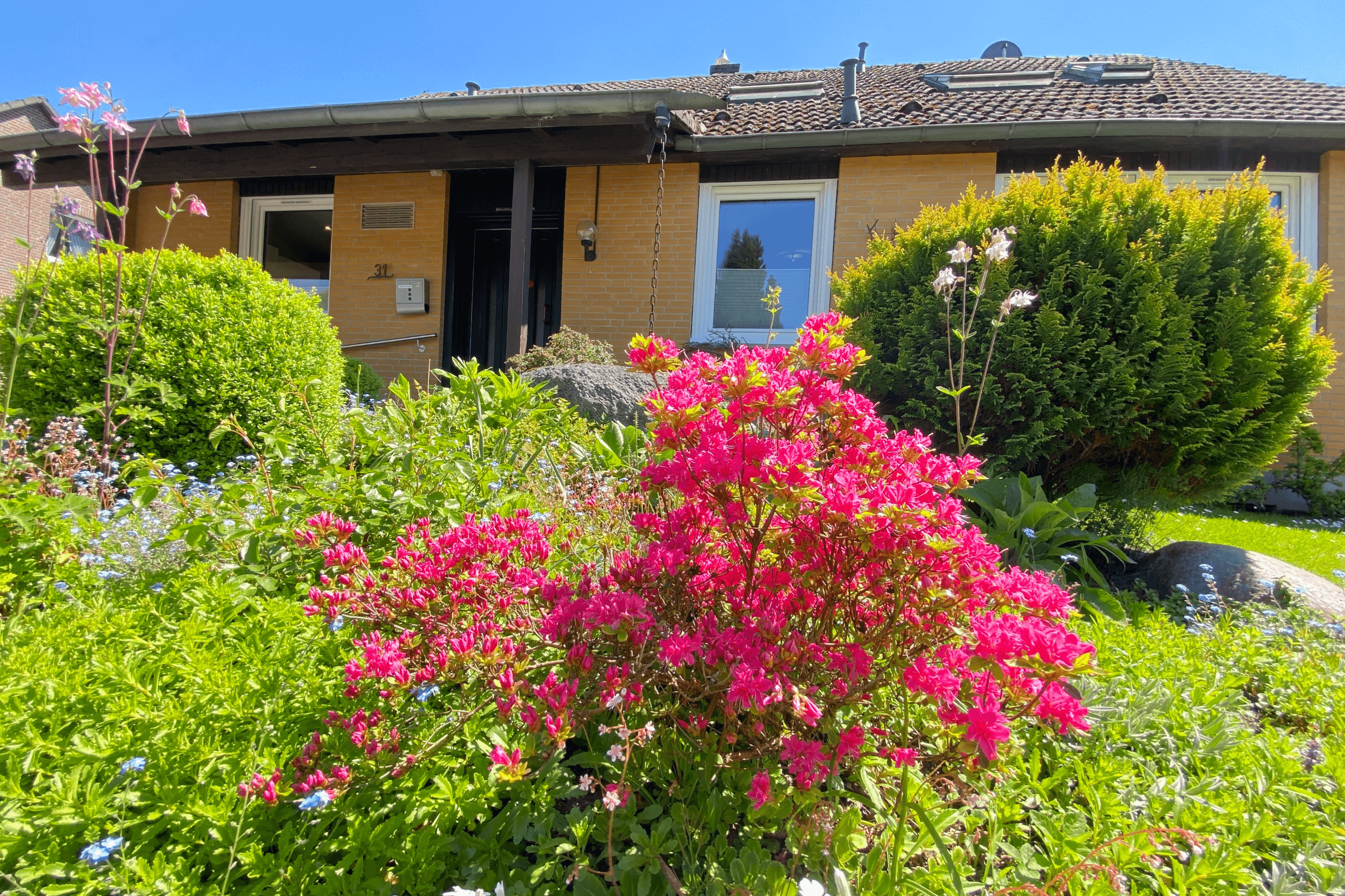 Ferienwohnung Heide-Tukkul in HermannsburgVacation apartment Heide-Tukkul in HermannsburgHeide-Tukkul ferielejlighed i HermannsburgHeide-Tukkul vakantiewoning in Hermannsburg