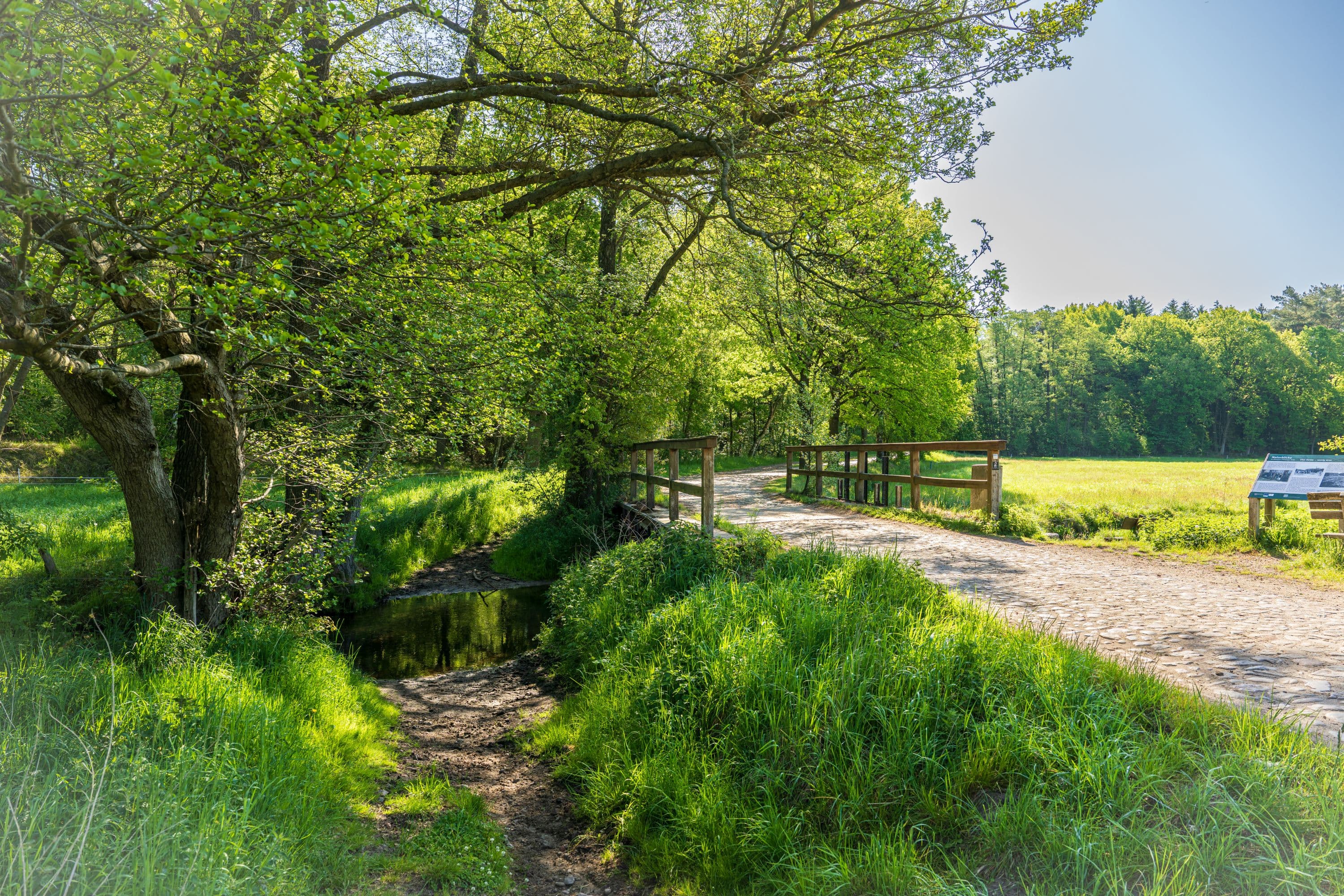 Wanderweg von Döhle zum Wilseder Berg durch das Naturschutzgebiet Lüneburger Heide