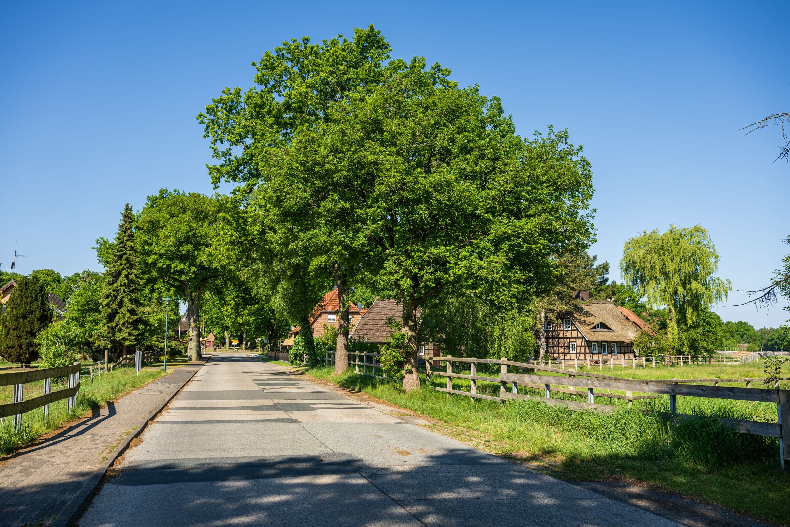 Ortsbild von Döhle in der Lüneburger Heide im Frühling