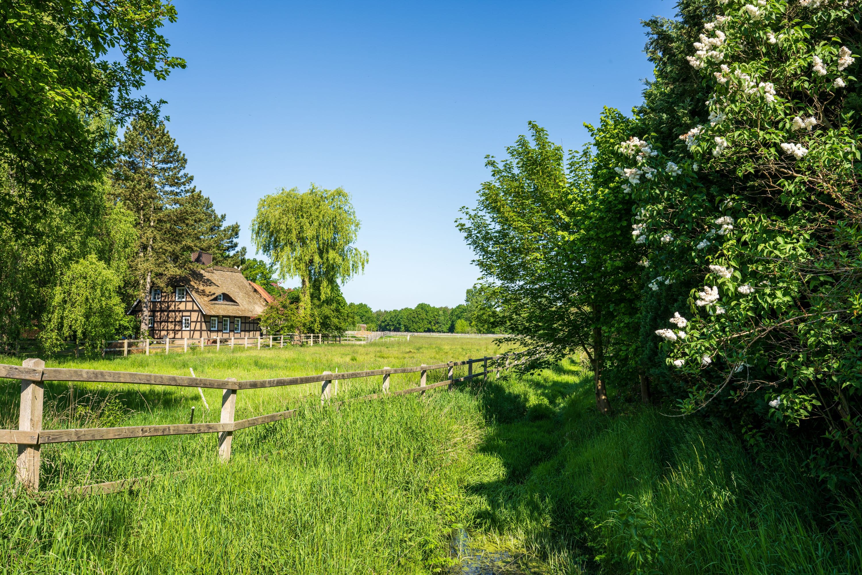 Ortsbild von Döhle im Frühling mit Weiden und blühenden Bäumen in der Lüneburger Heide