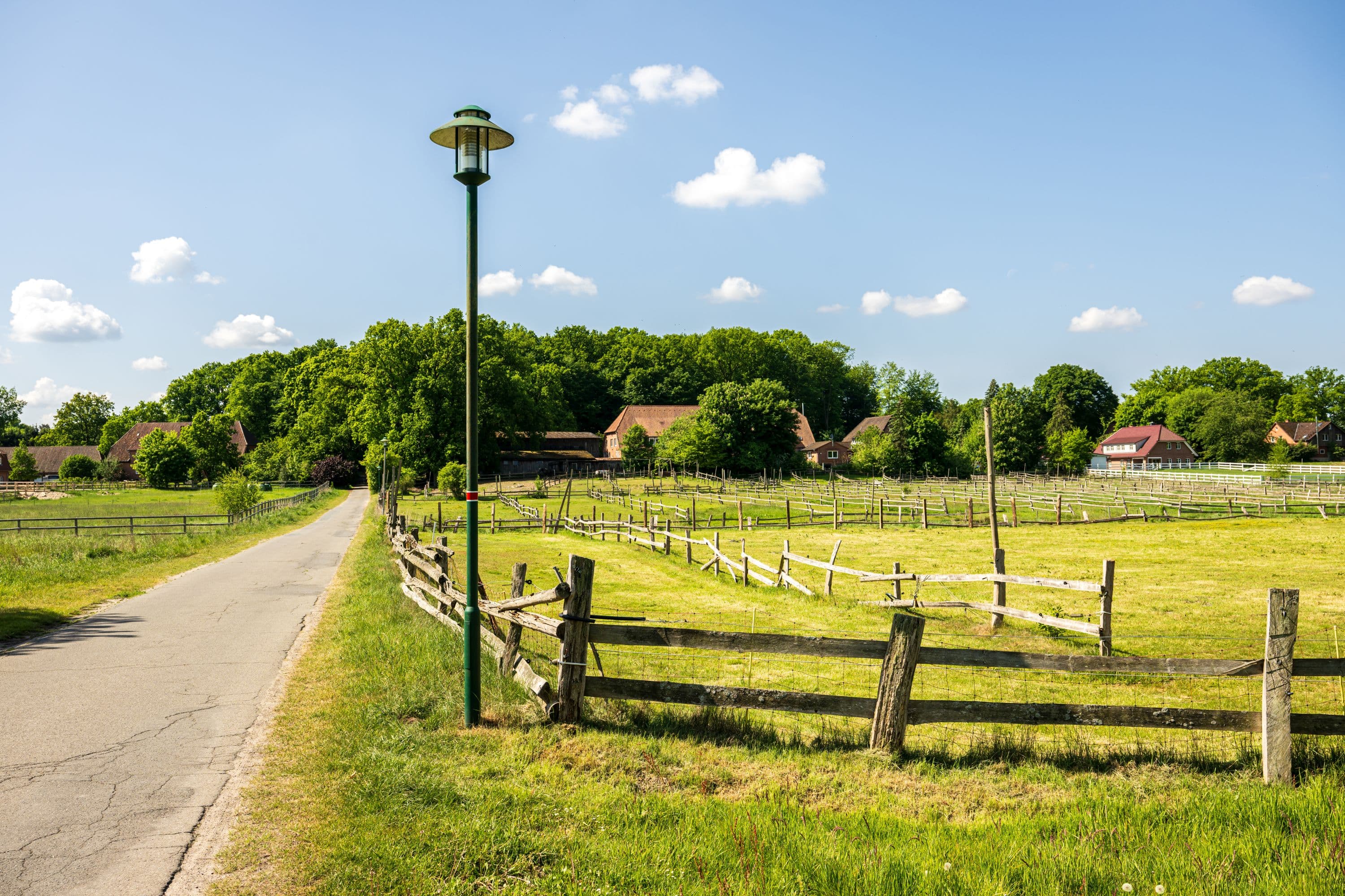 Frühlingshaftes Ortsbild von Döhle mit Weiden und ländlicher Ruhe in der Lüneburger Heide
