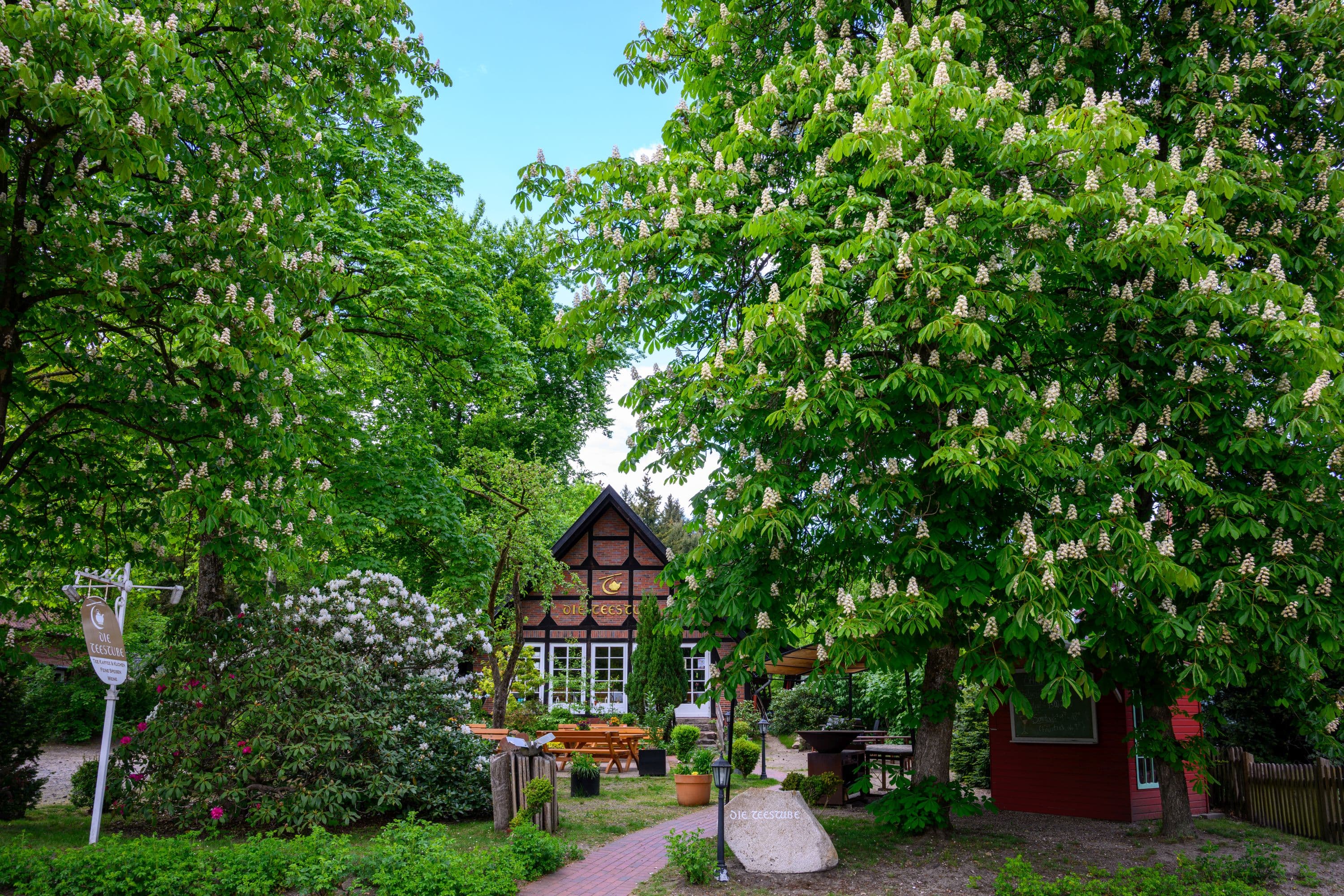 Die Teestube in Undeloh hinter blühenden Bäumen am Rande des Naturschutzgebiets Lüneburger Heide
